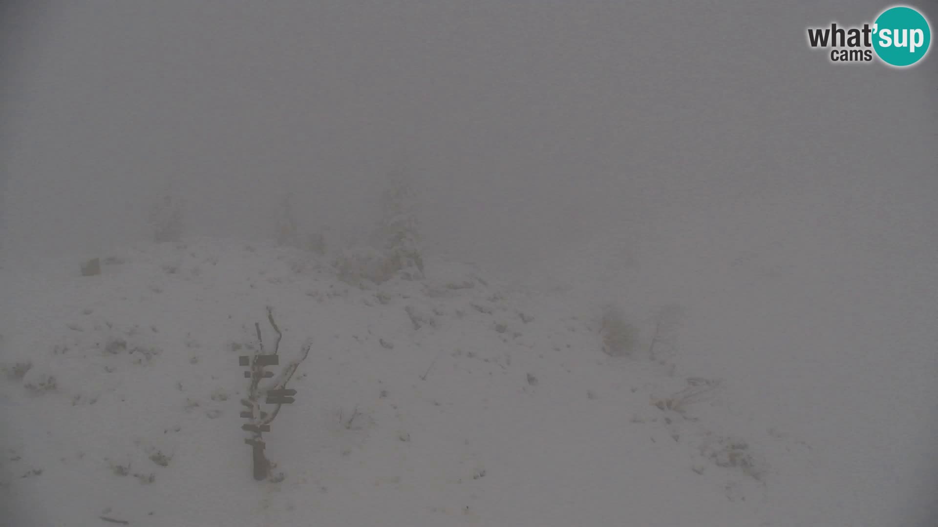 Velika Planina | Gradišče