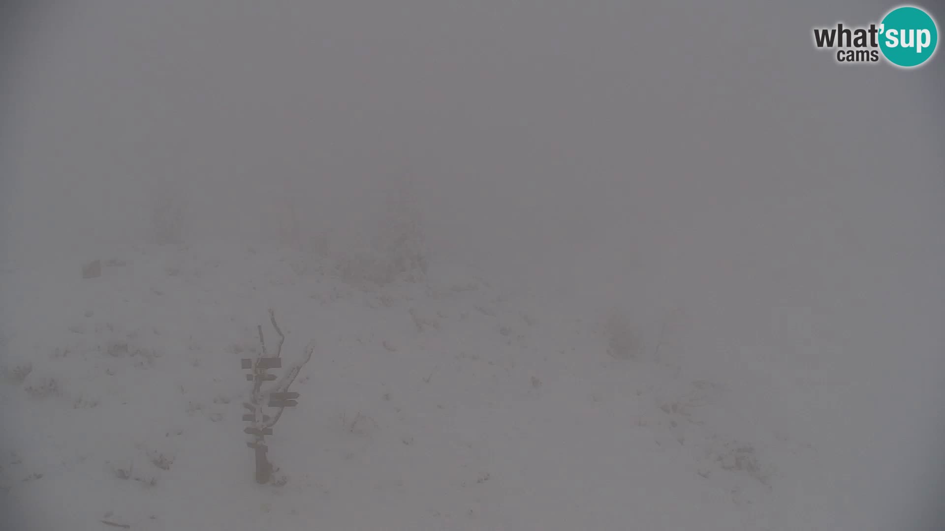 Velika Planina | Gradišče