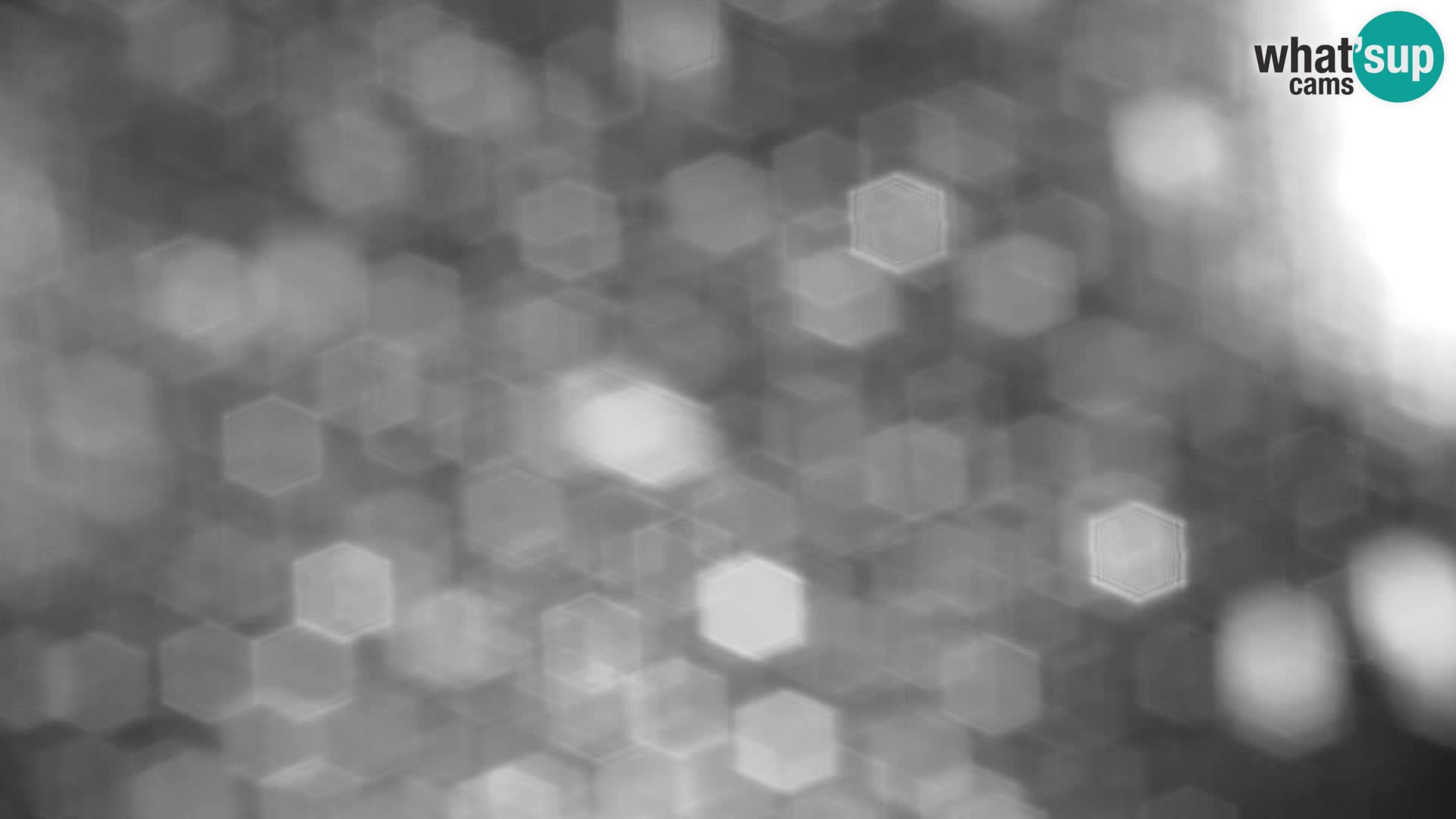 Velika Planina | Gradišče