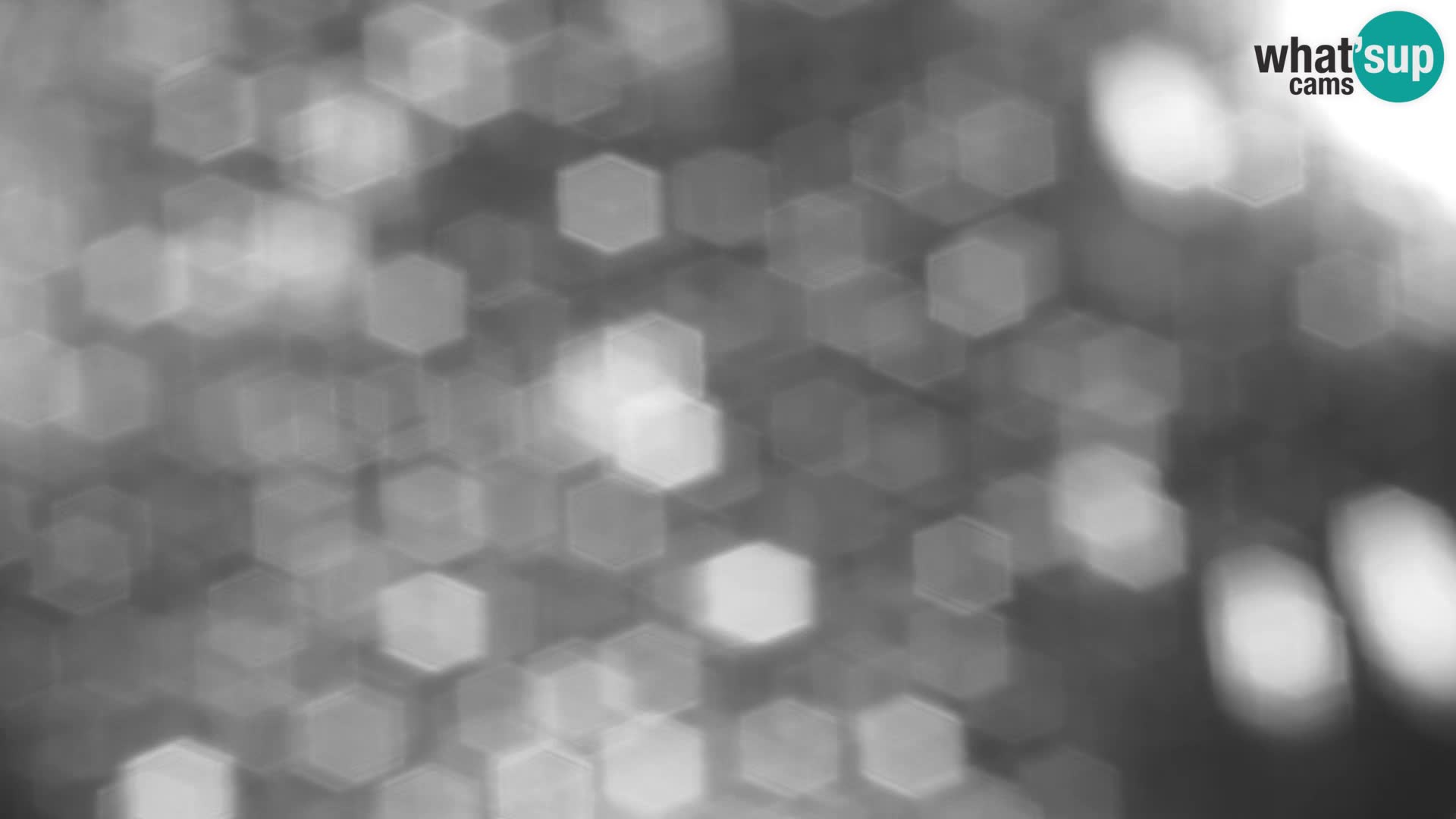 Velika Planina | Gradišče