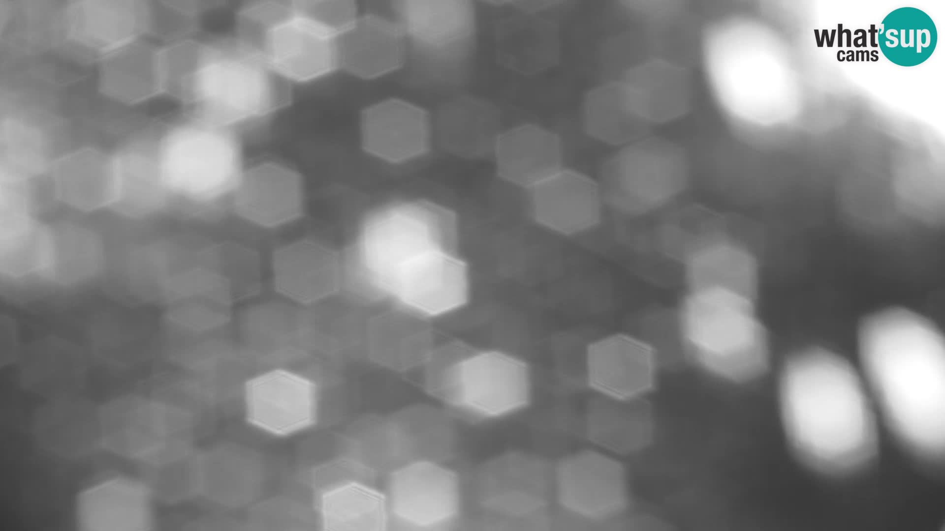 Velika Planina | Gradišče