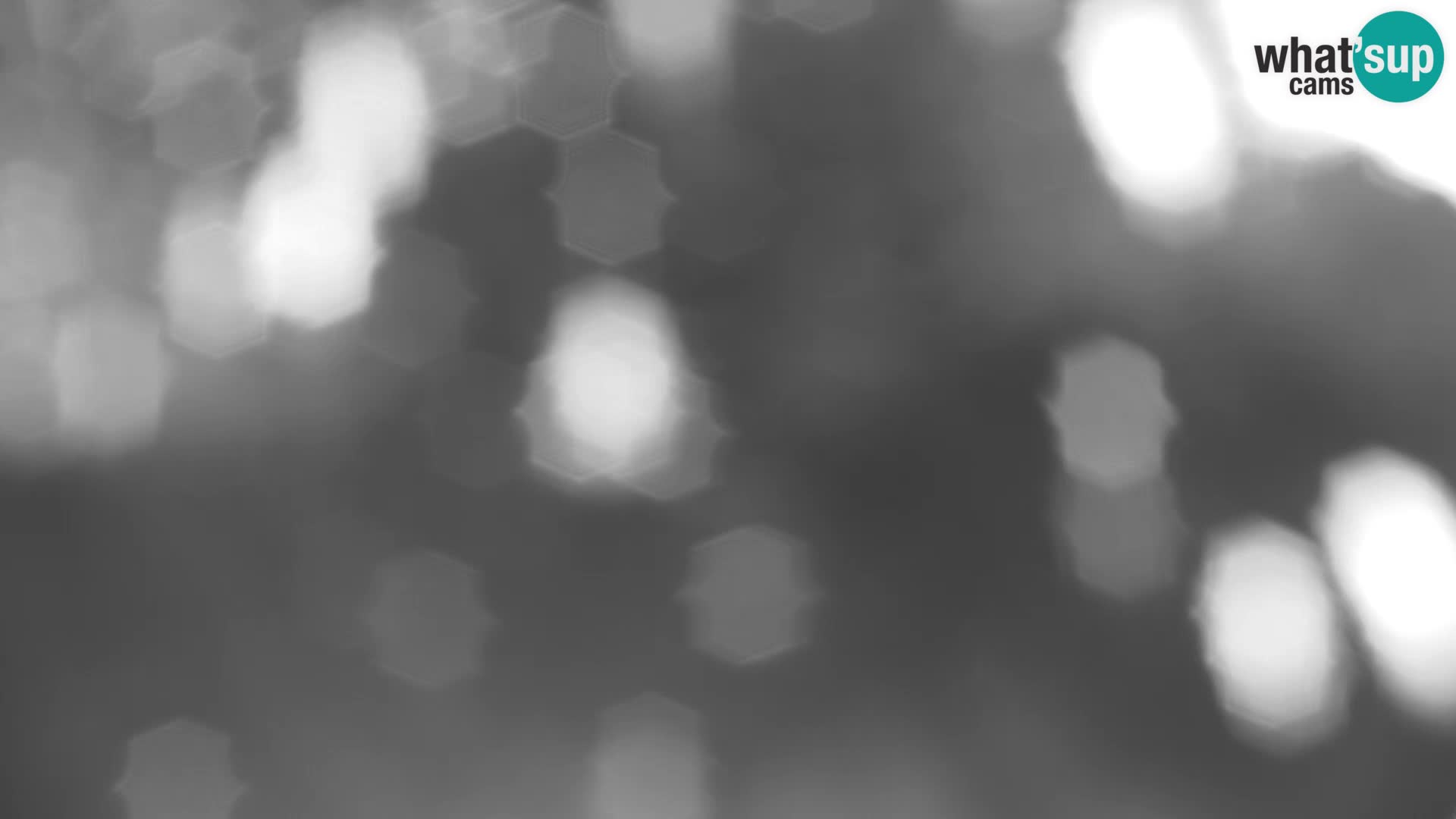 Velika Planina | Gradišče