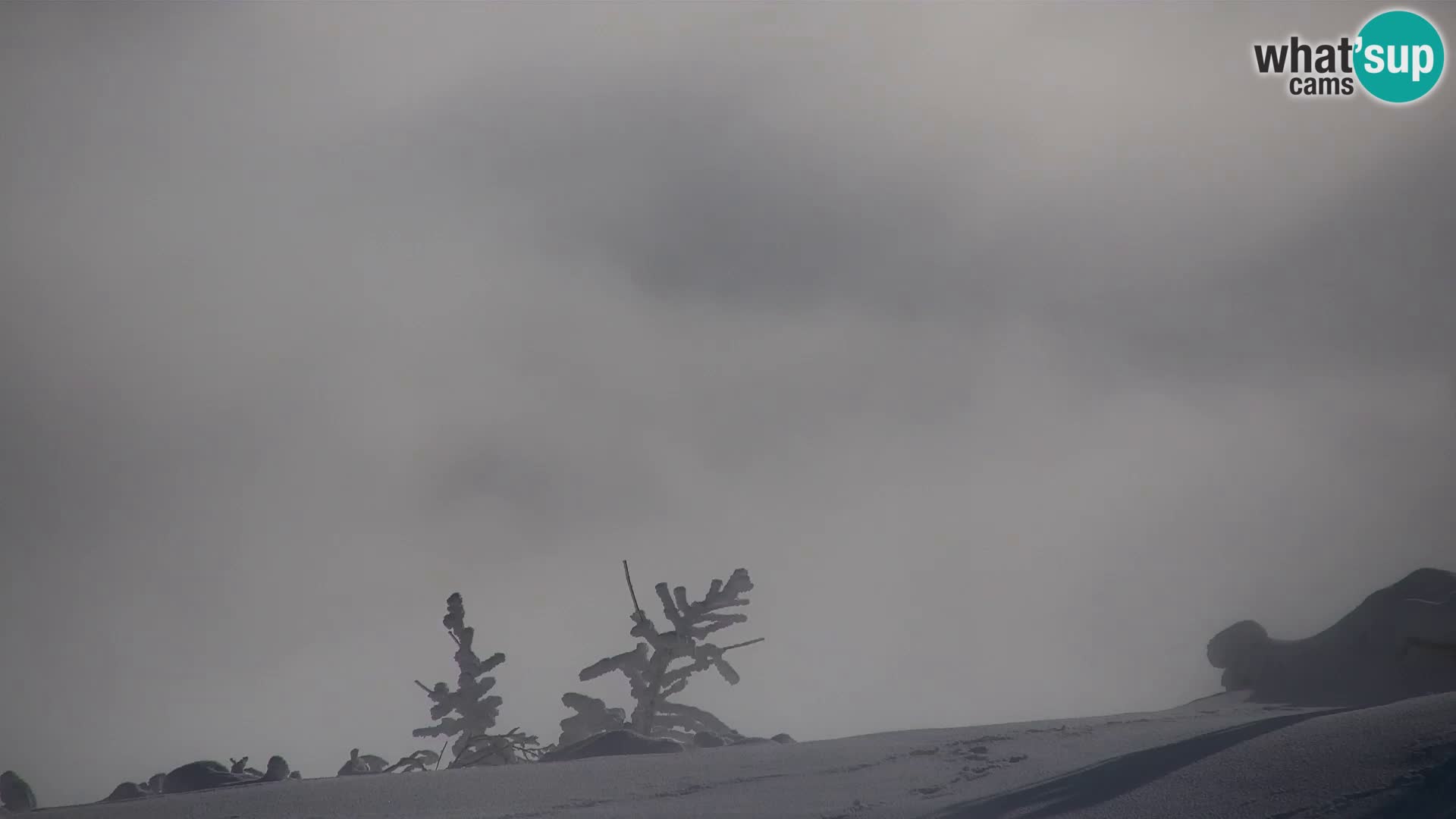 Velika Planina | Gradišče