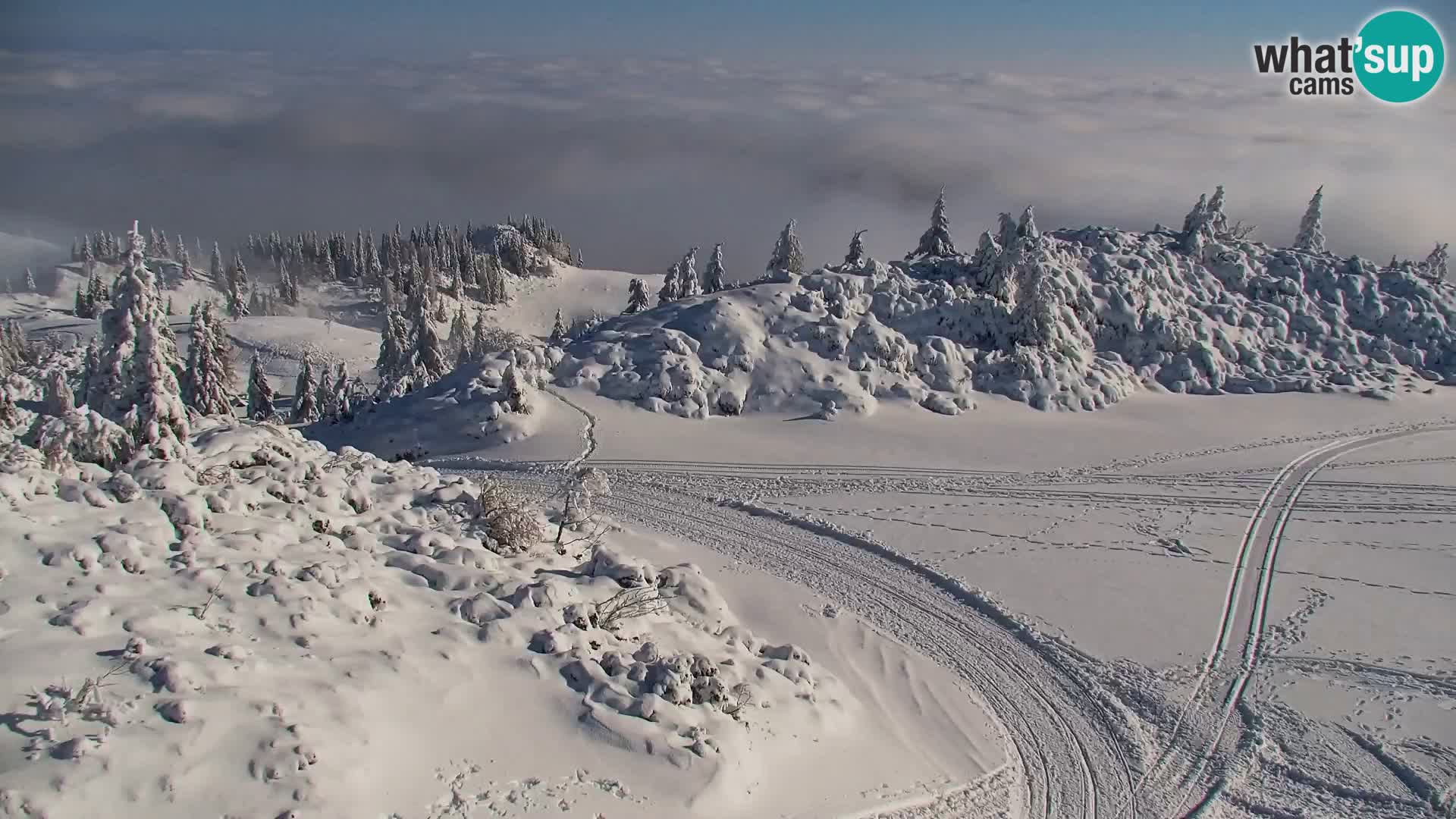 Velika Planina | Gradišče
