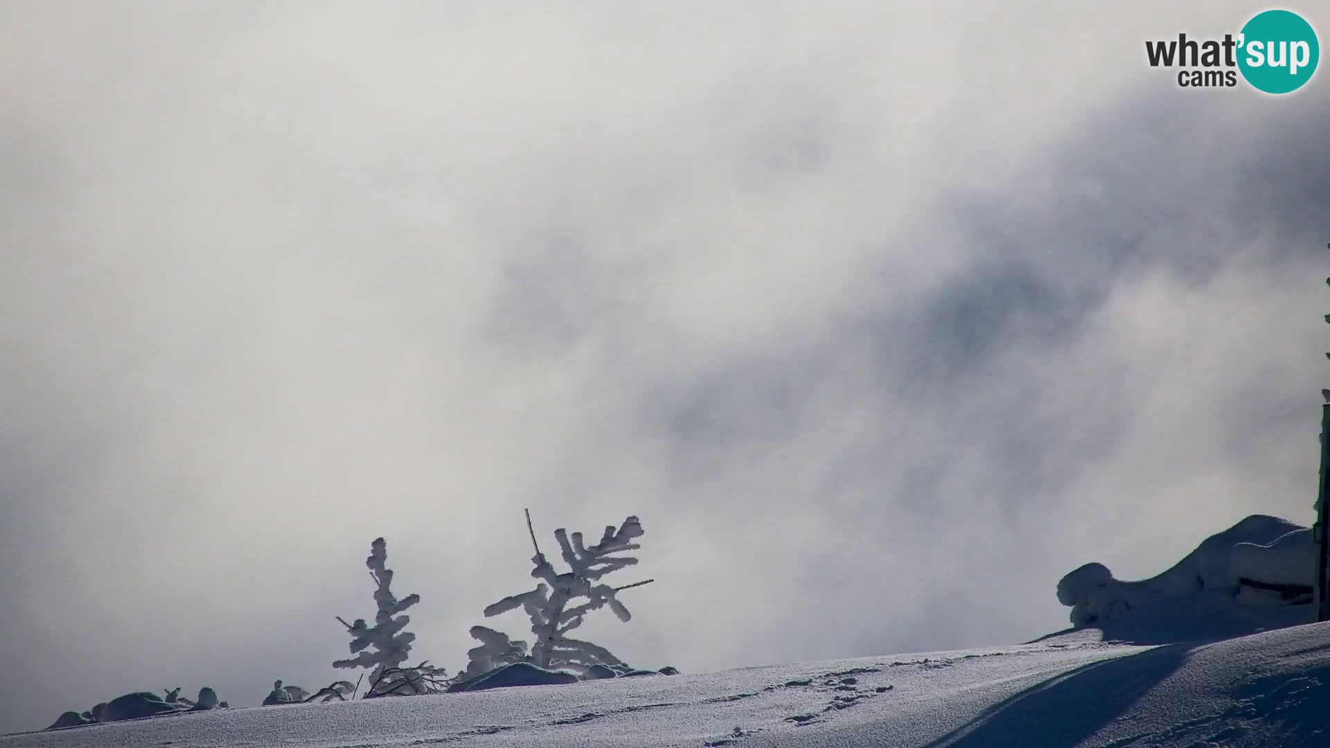 Velika Planina | Gradišče