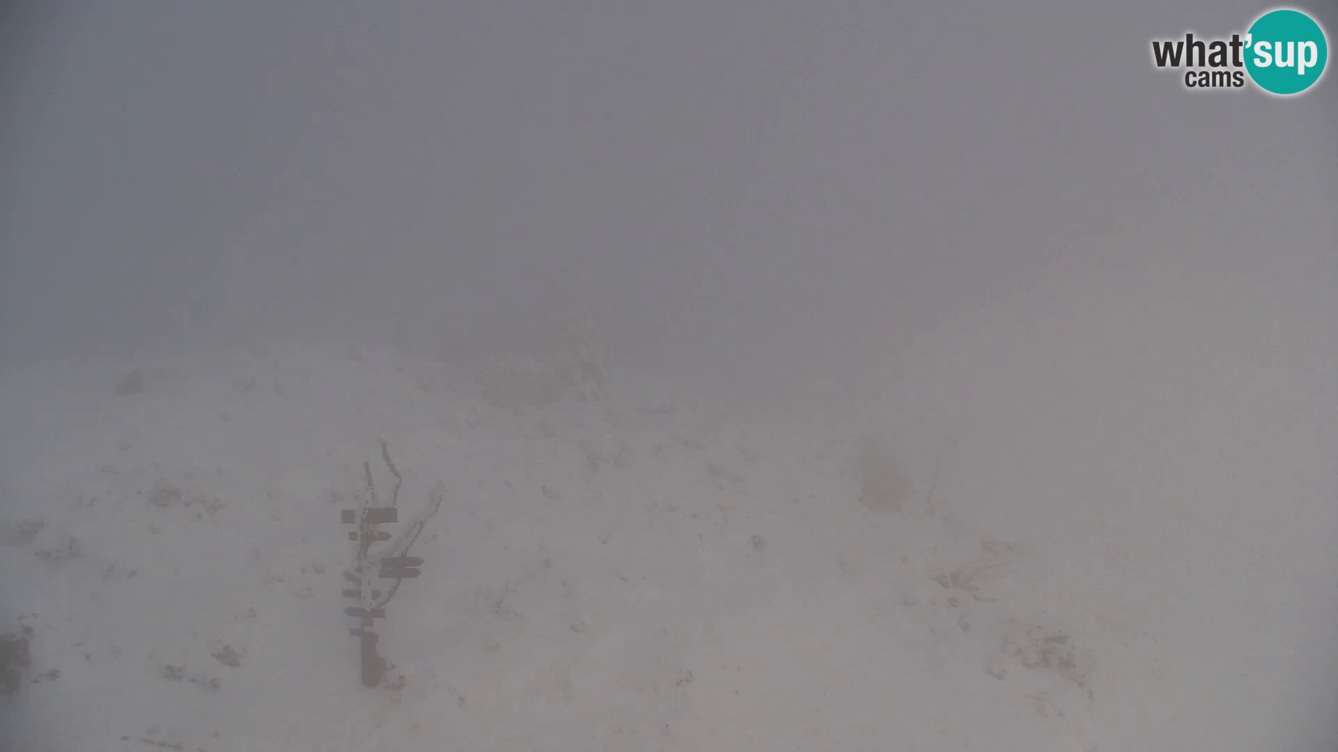 Velika Planina | Gradišče