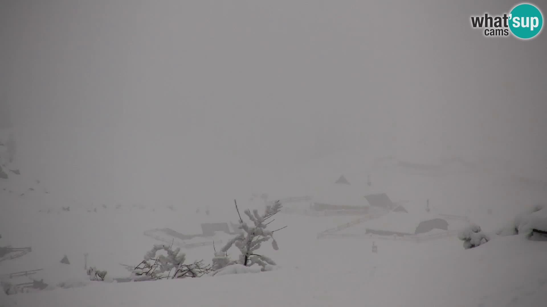 Velika Planina | Gradišče