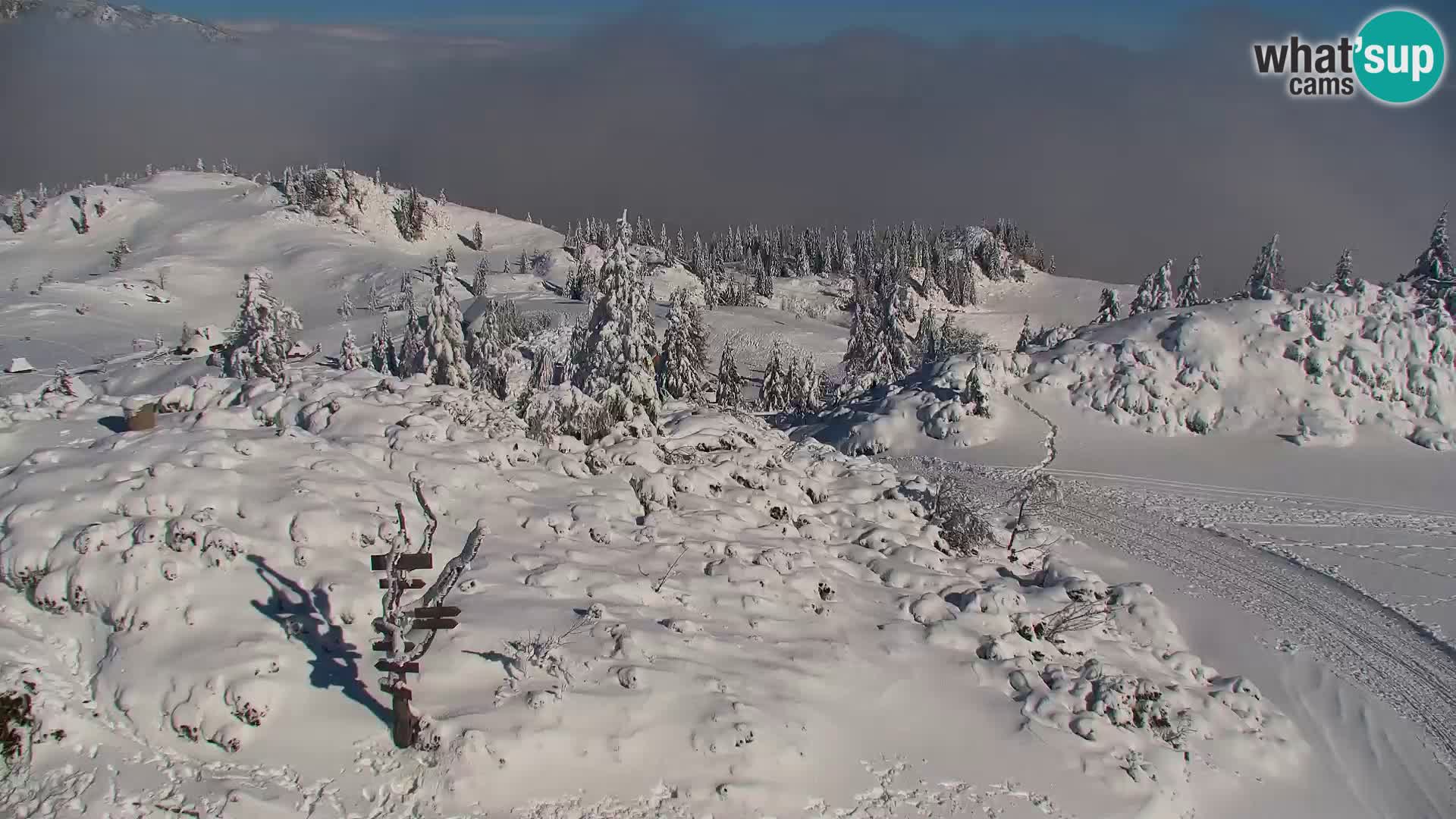 Velika Planina | Gradišče