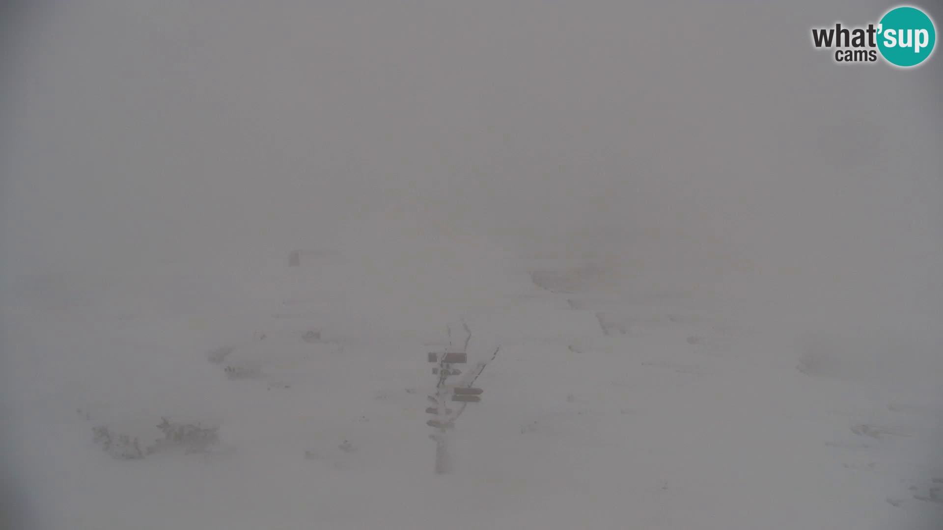 Velika Planina | Gradišče