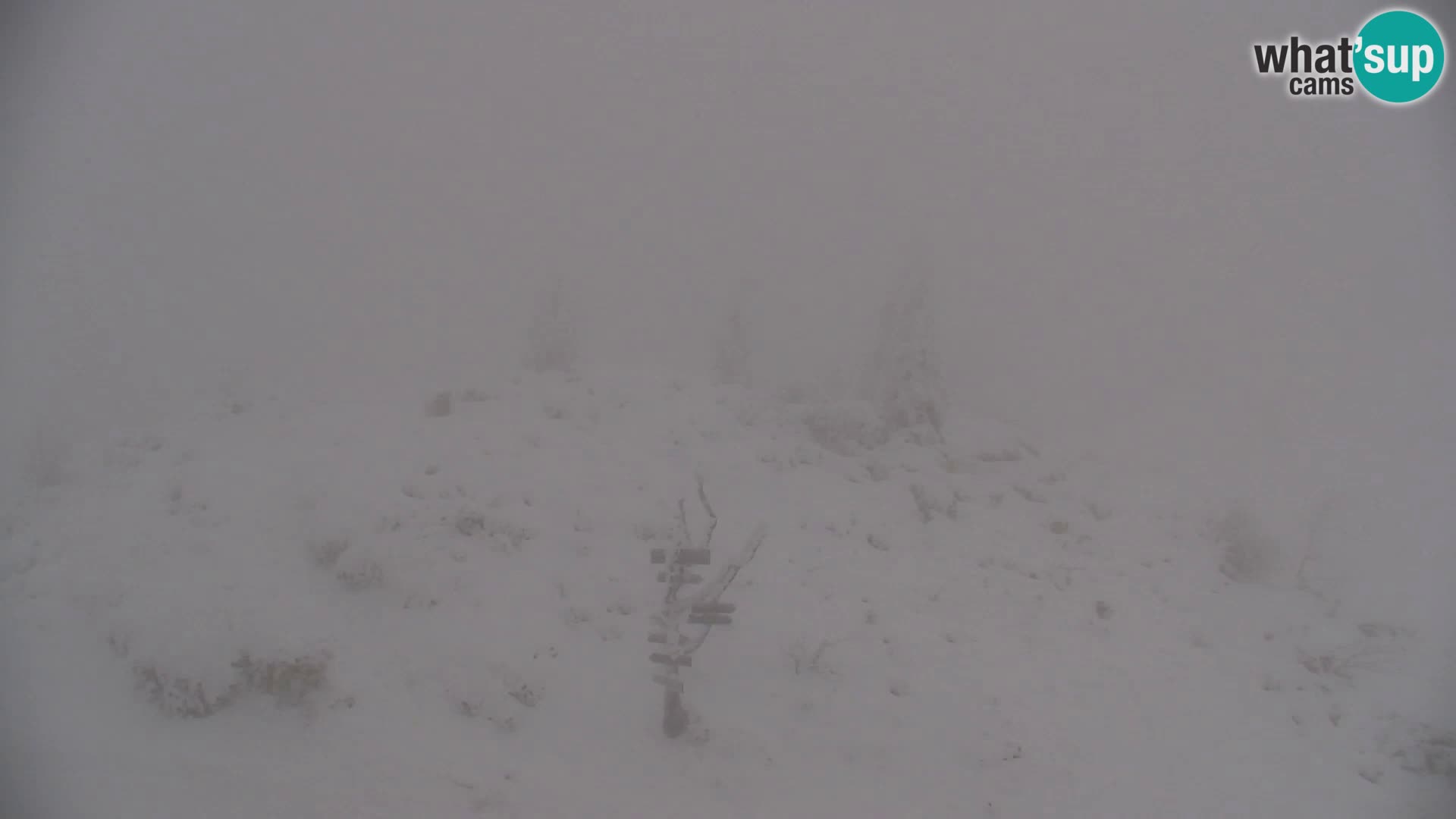 Velika Planina | Gradišče