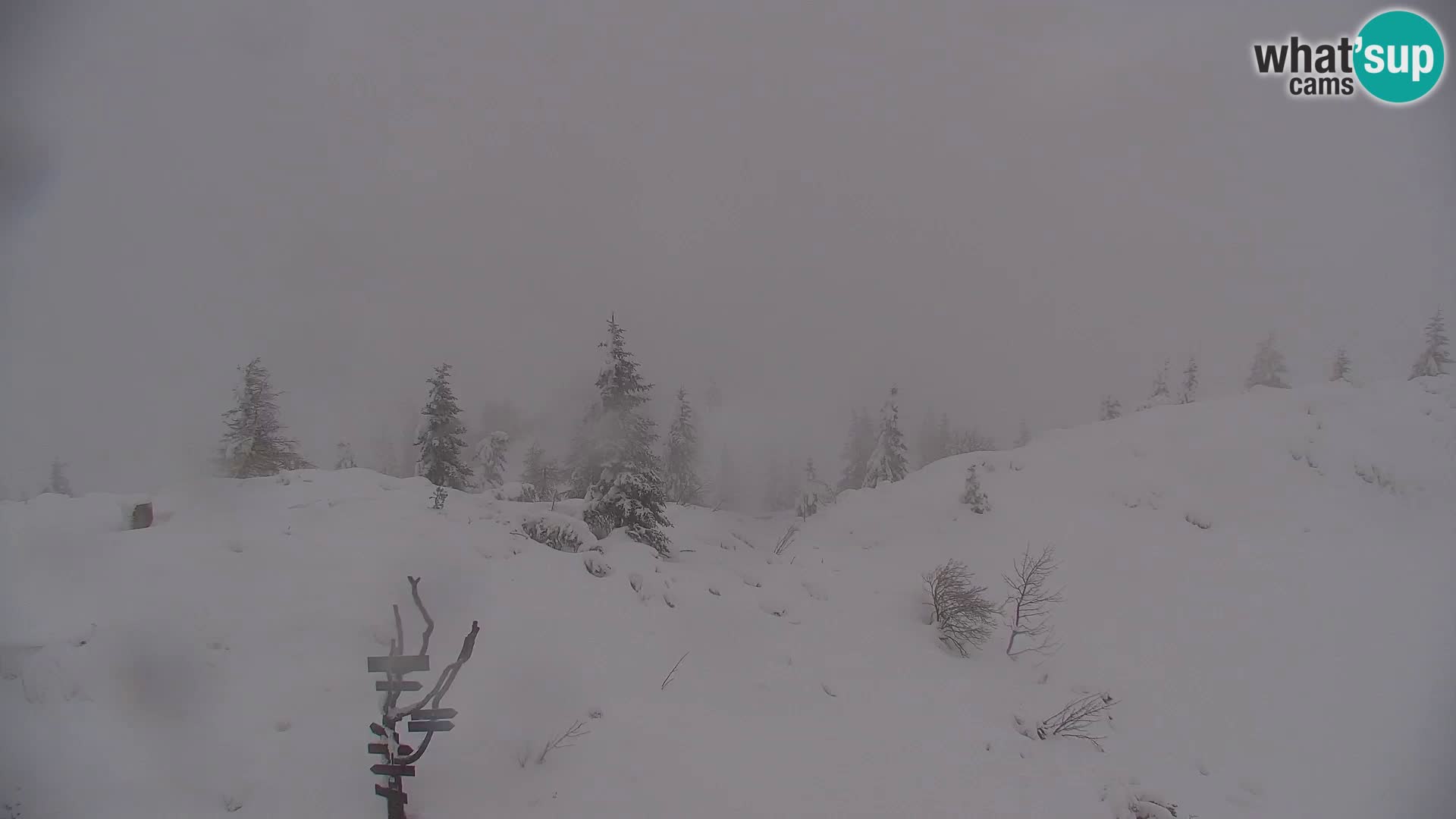 Velika Planina | Gradišče