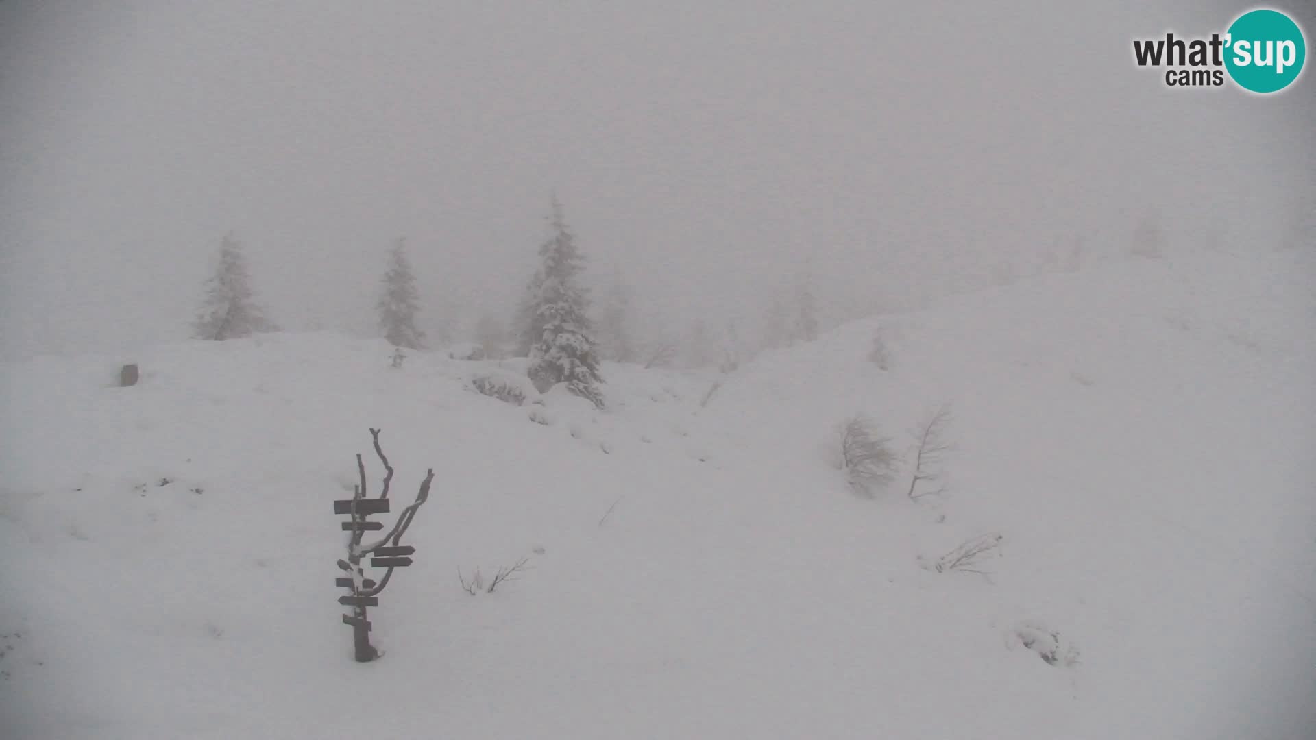 Velika Planina | Gradišče