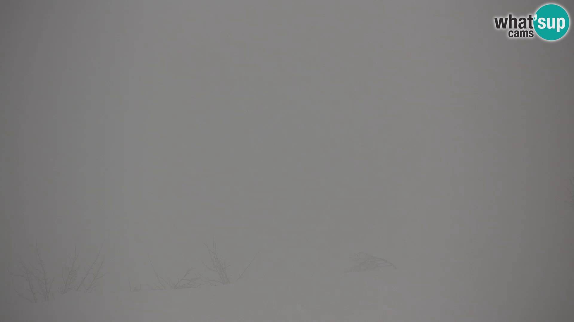 Velika Planina | Gradišče