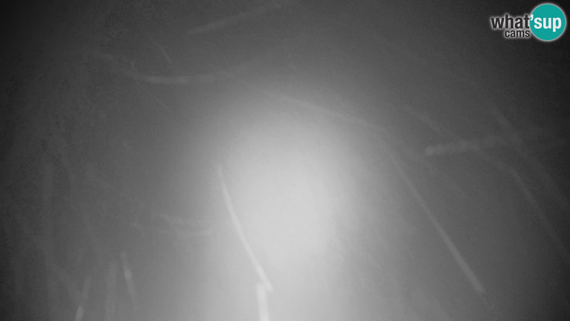 Velika Planina | Gradišče