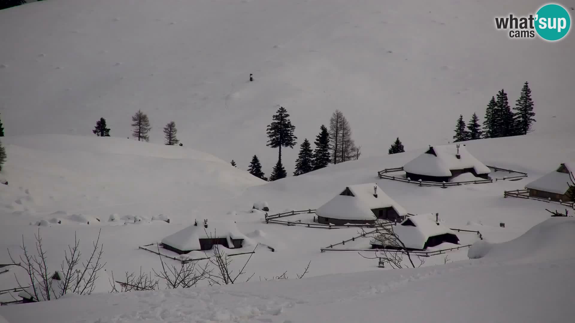 Velika Planina | Gradišče