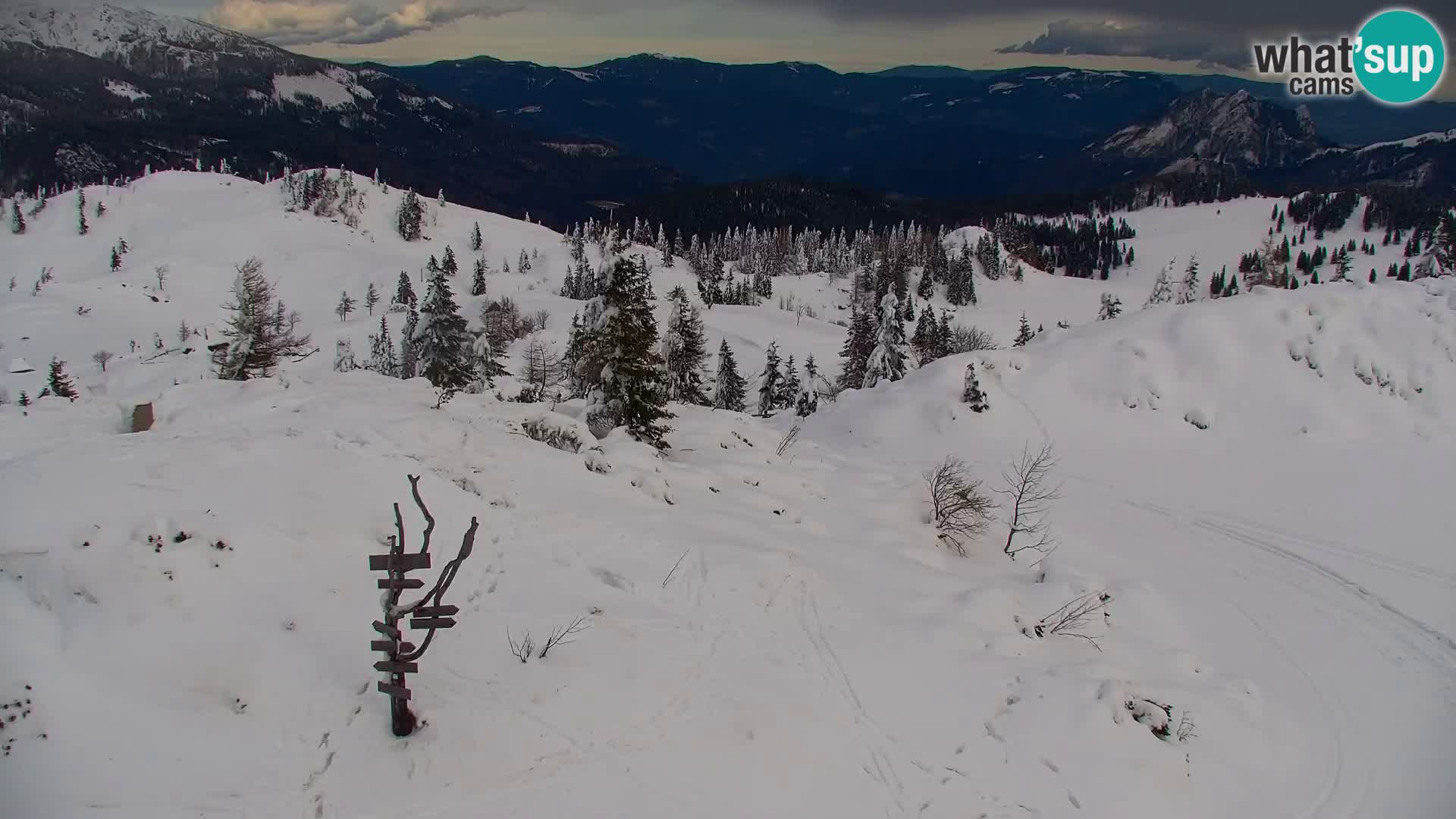 Velika Planina | Gradišče