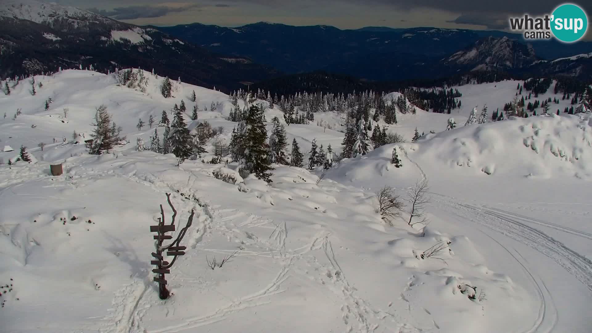 Velika Planina | Gradišče