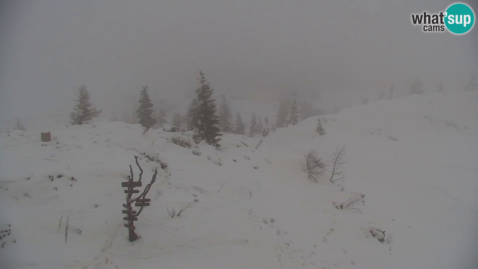 Velika Planina | Gradišče