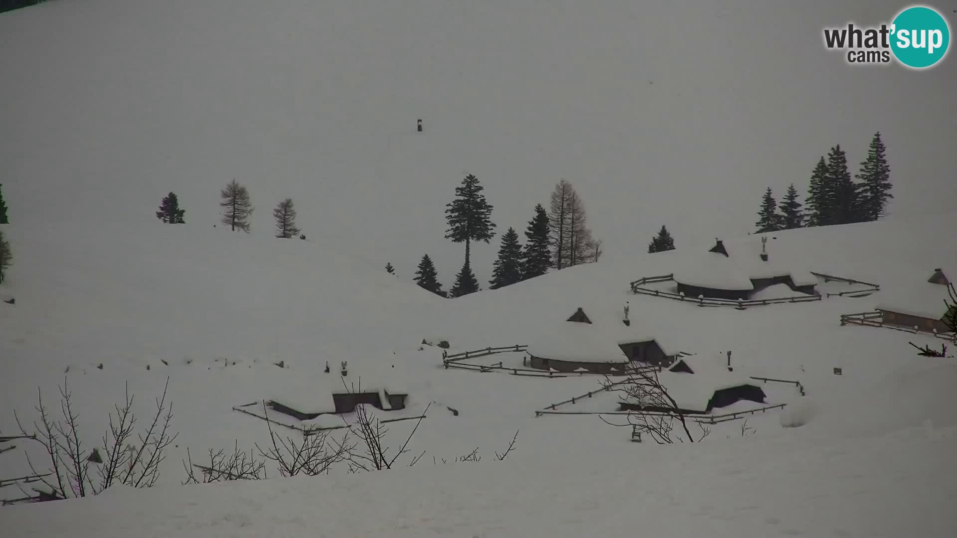 Velika Planina | Gradišče