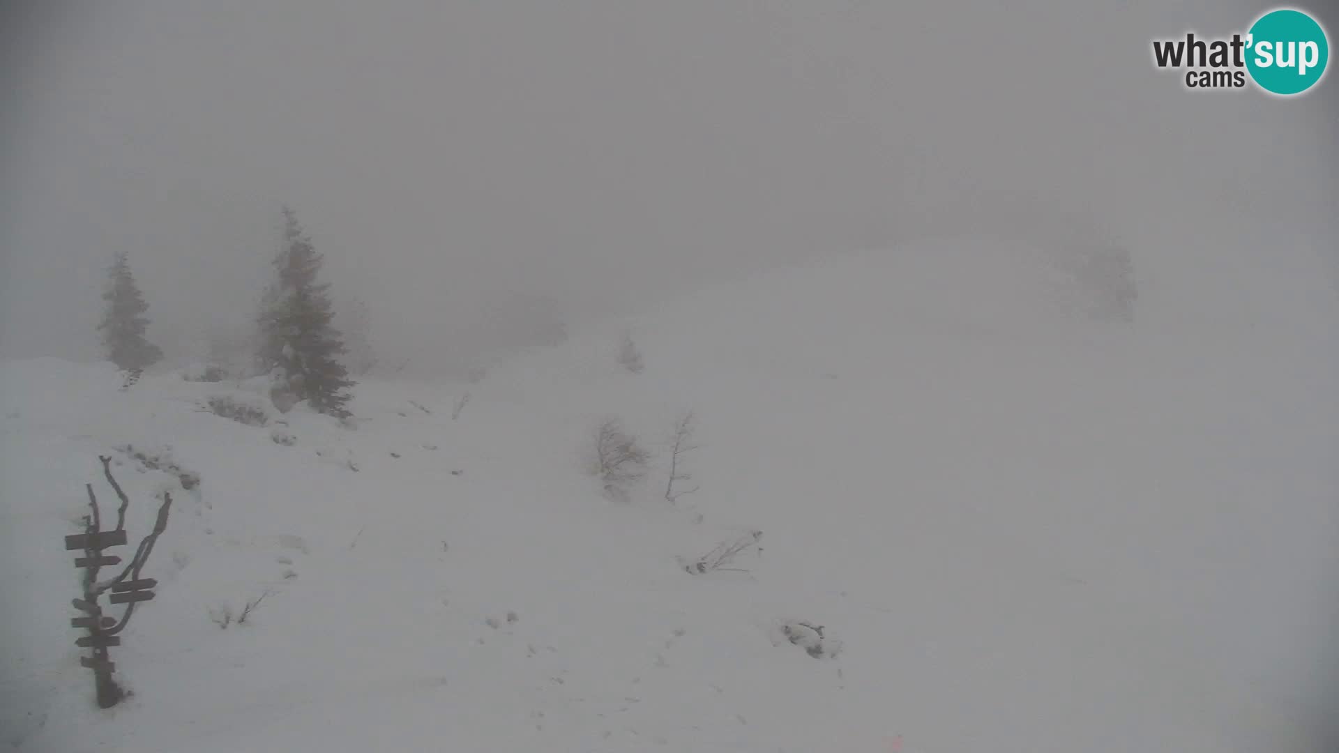 Velika Planina | Gradišče