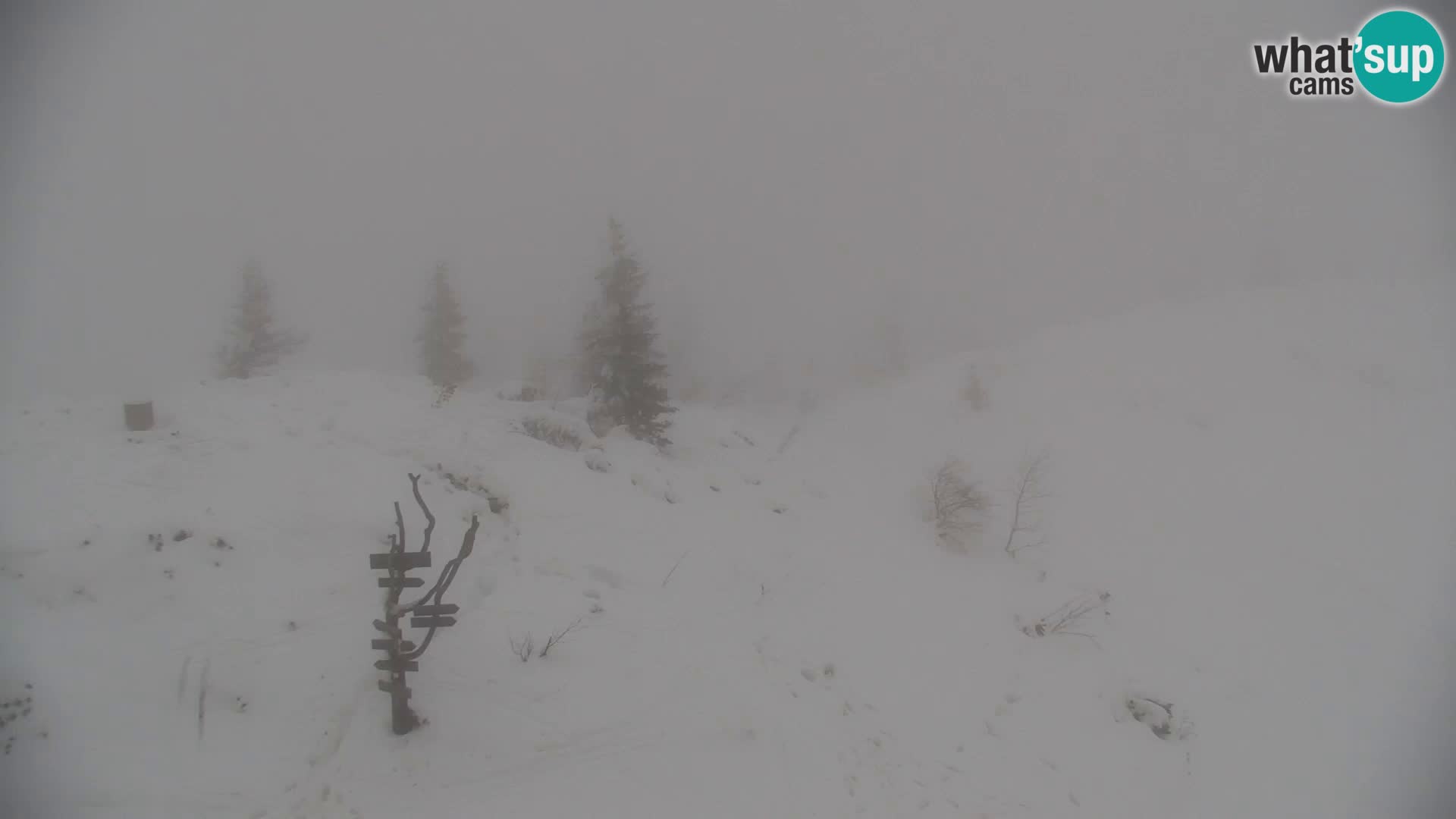 Velika Planina | Gradišče