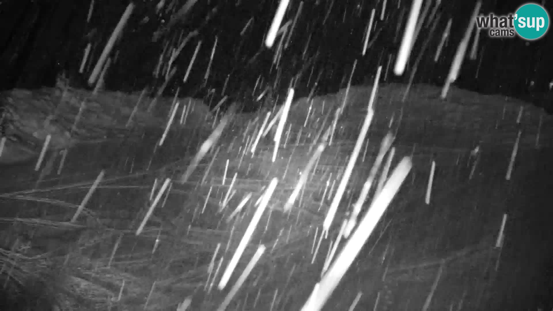 Velika Planina | Gradišče