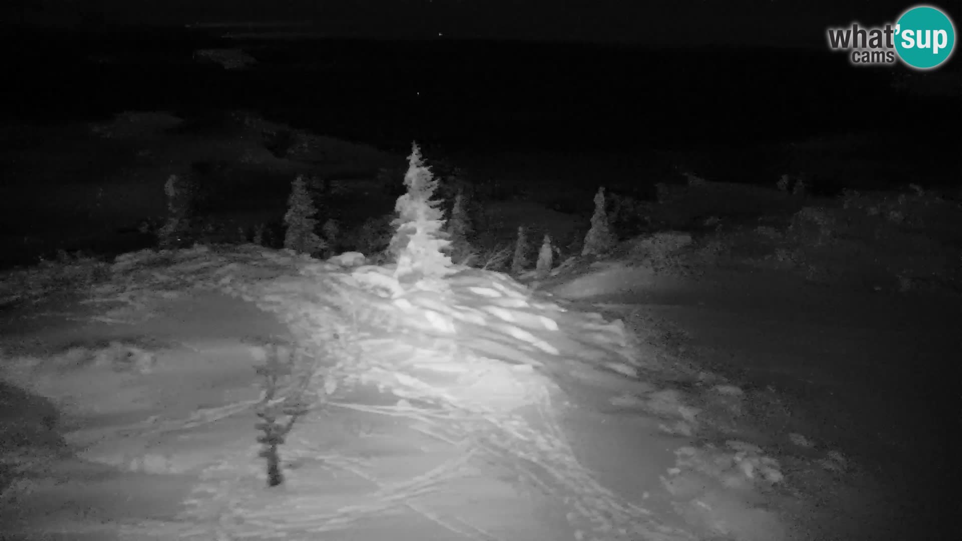Velika Planina | Gradišče