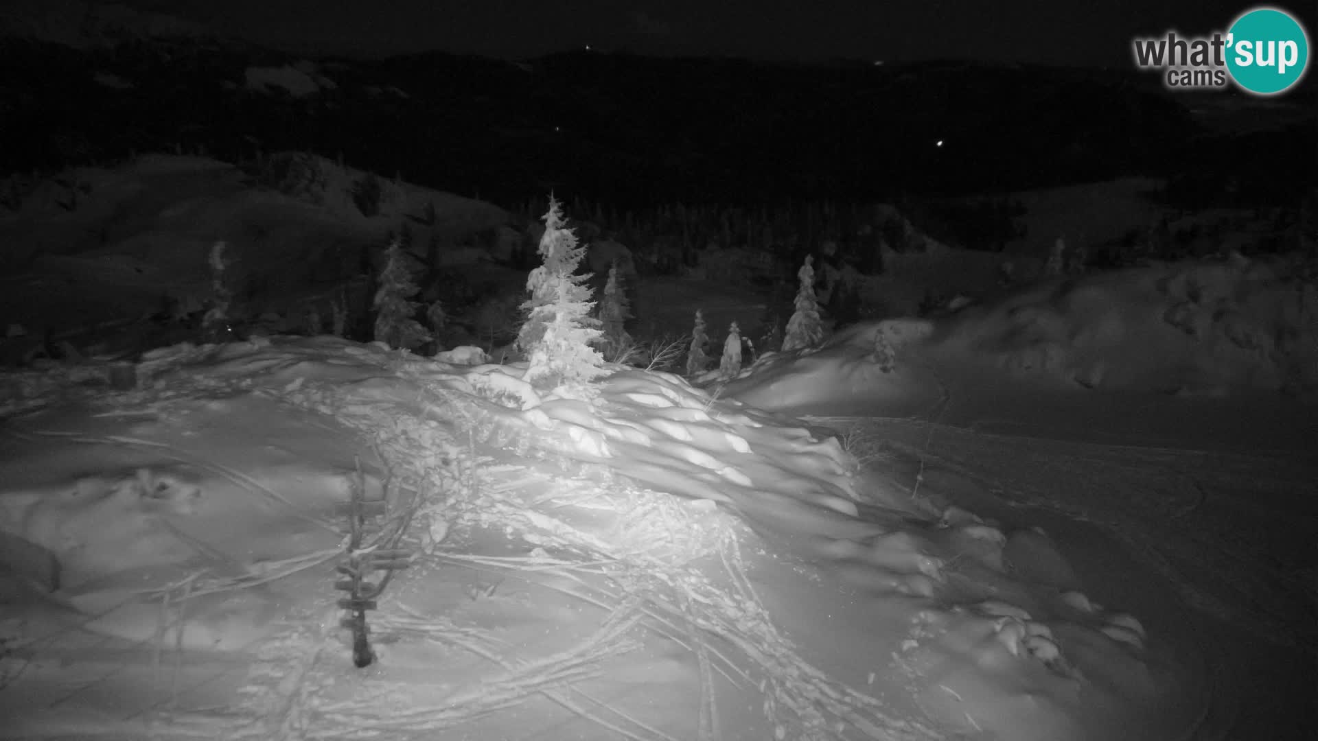 Velika Planina | Gradišče