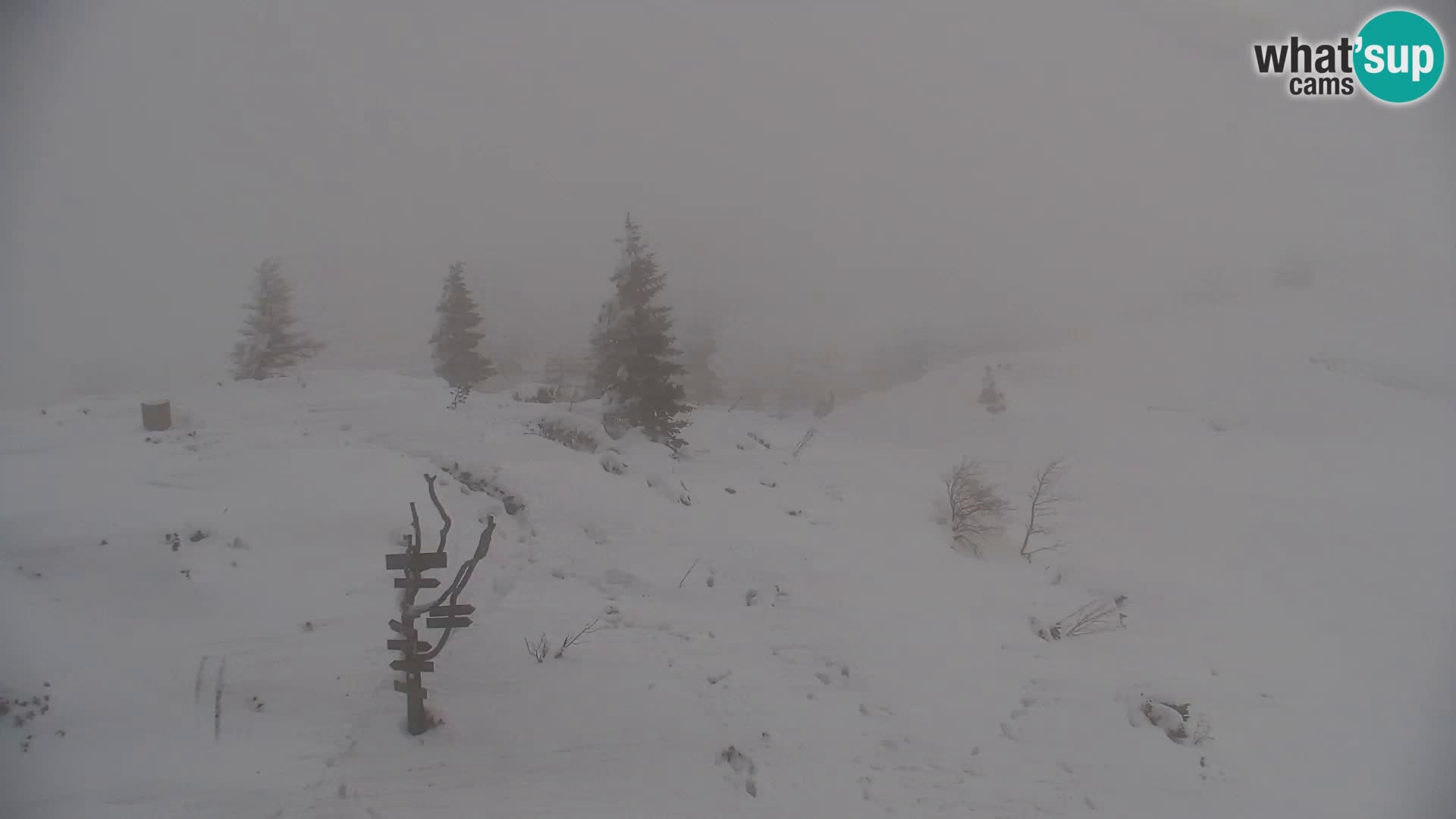 Velika Planina | Gradišče