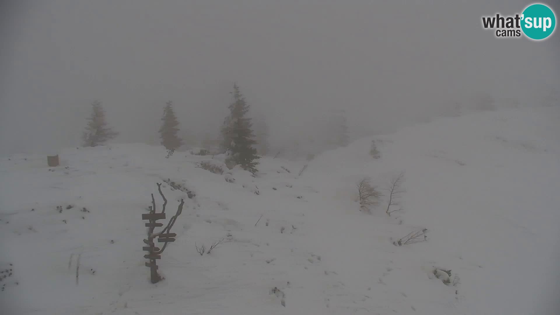 Velika Planina | Gradišče