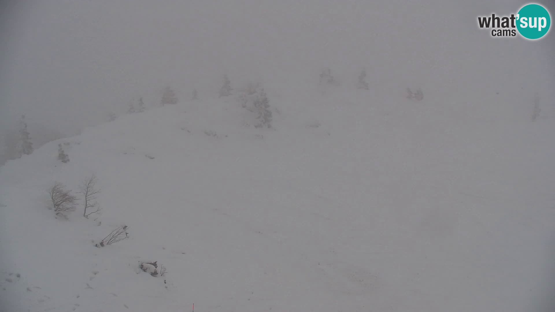 Velika Planina | Gradišče