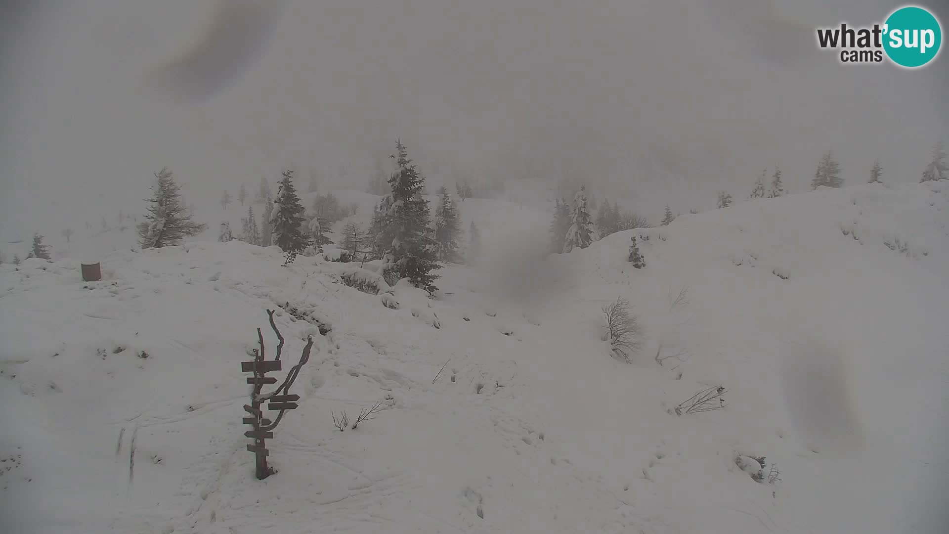 Velika Planina | Gradišče