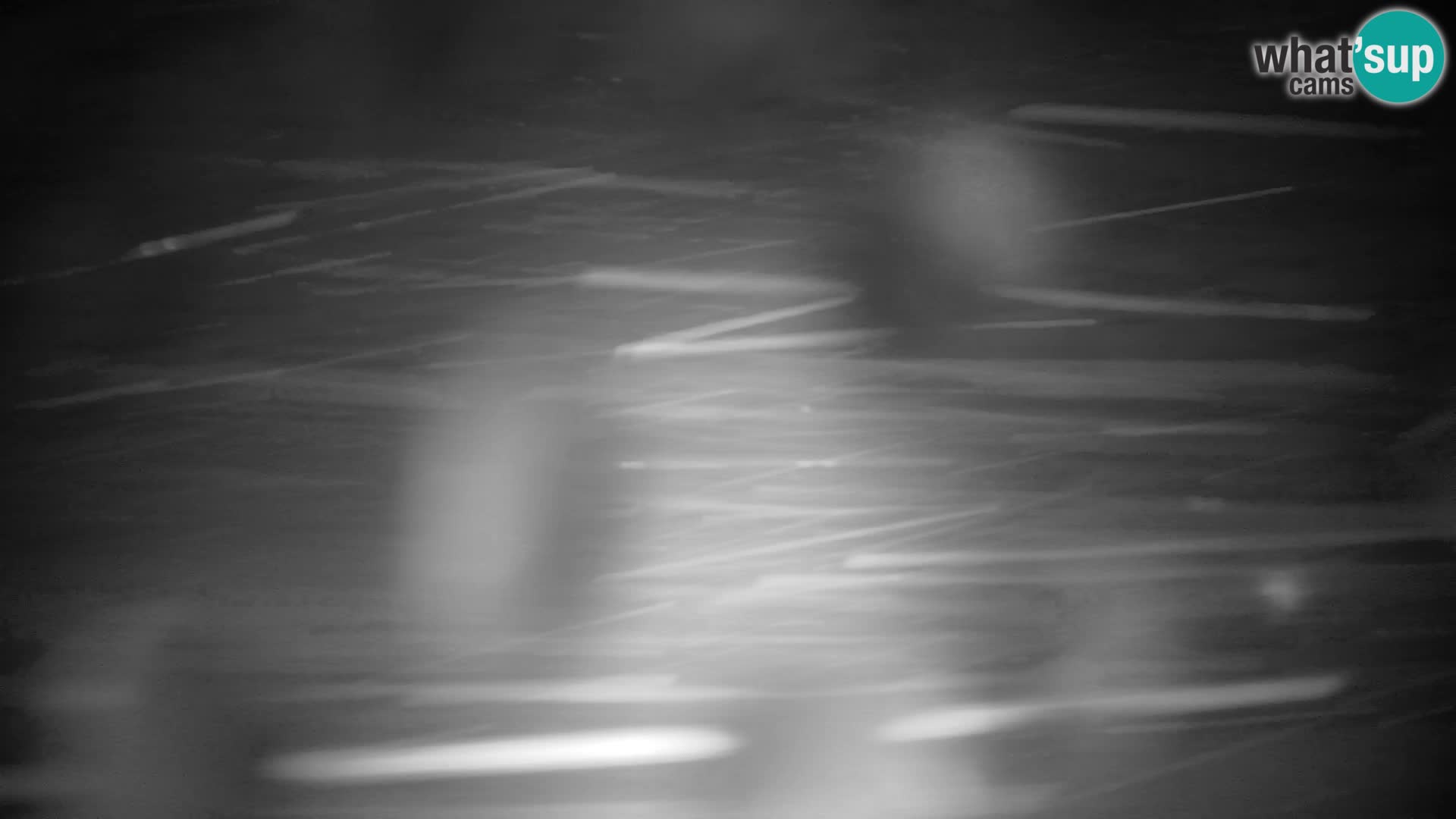 Velika Planina | Gradišče