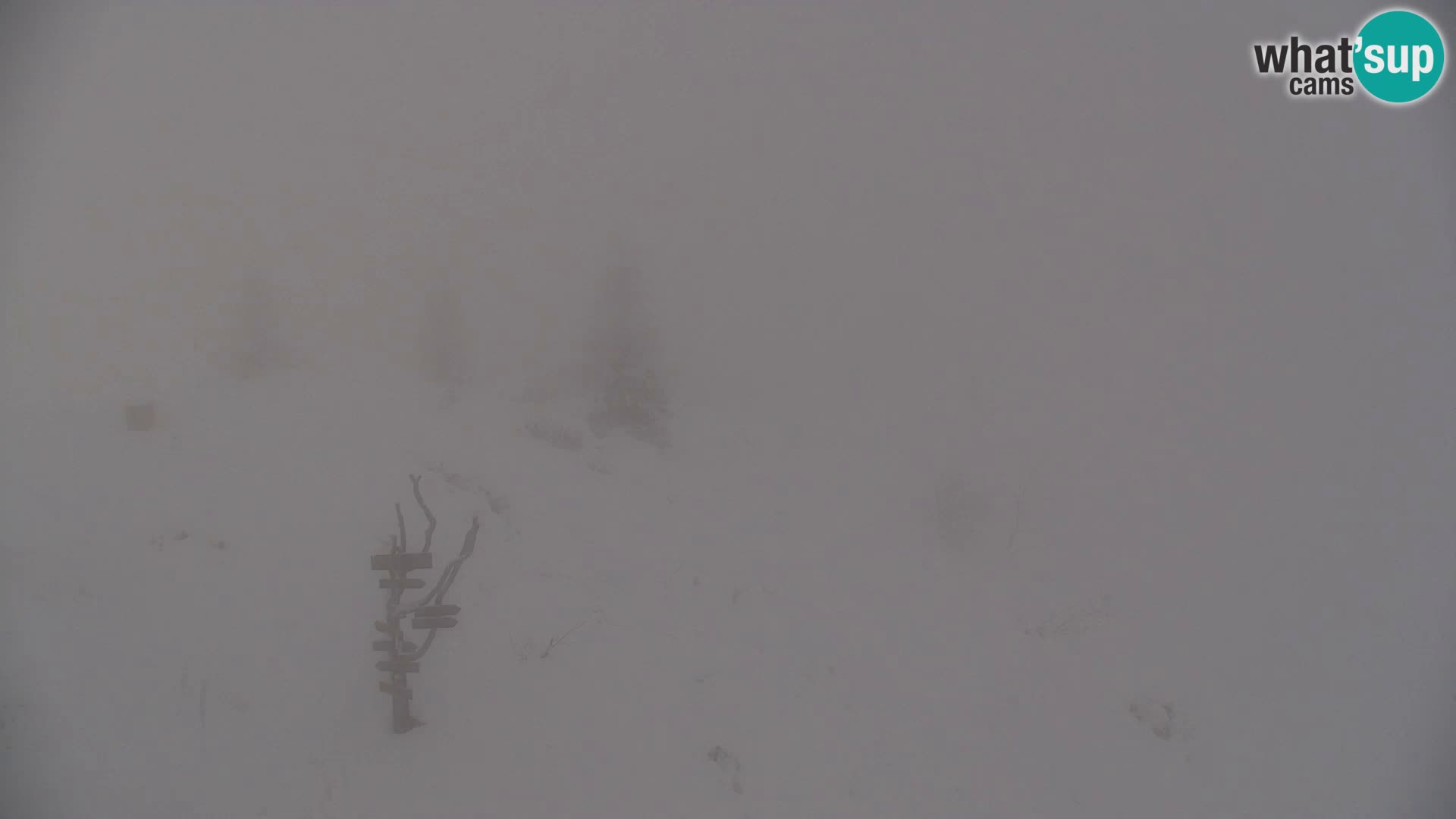 Velika Planina | Gradišče