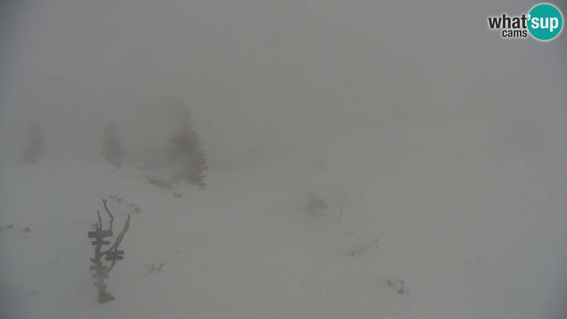 Velika Planina | Gradišče