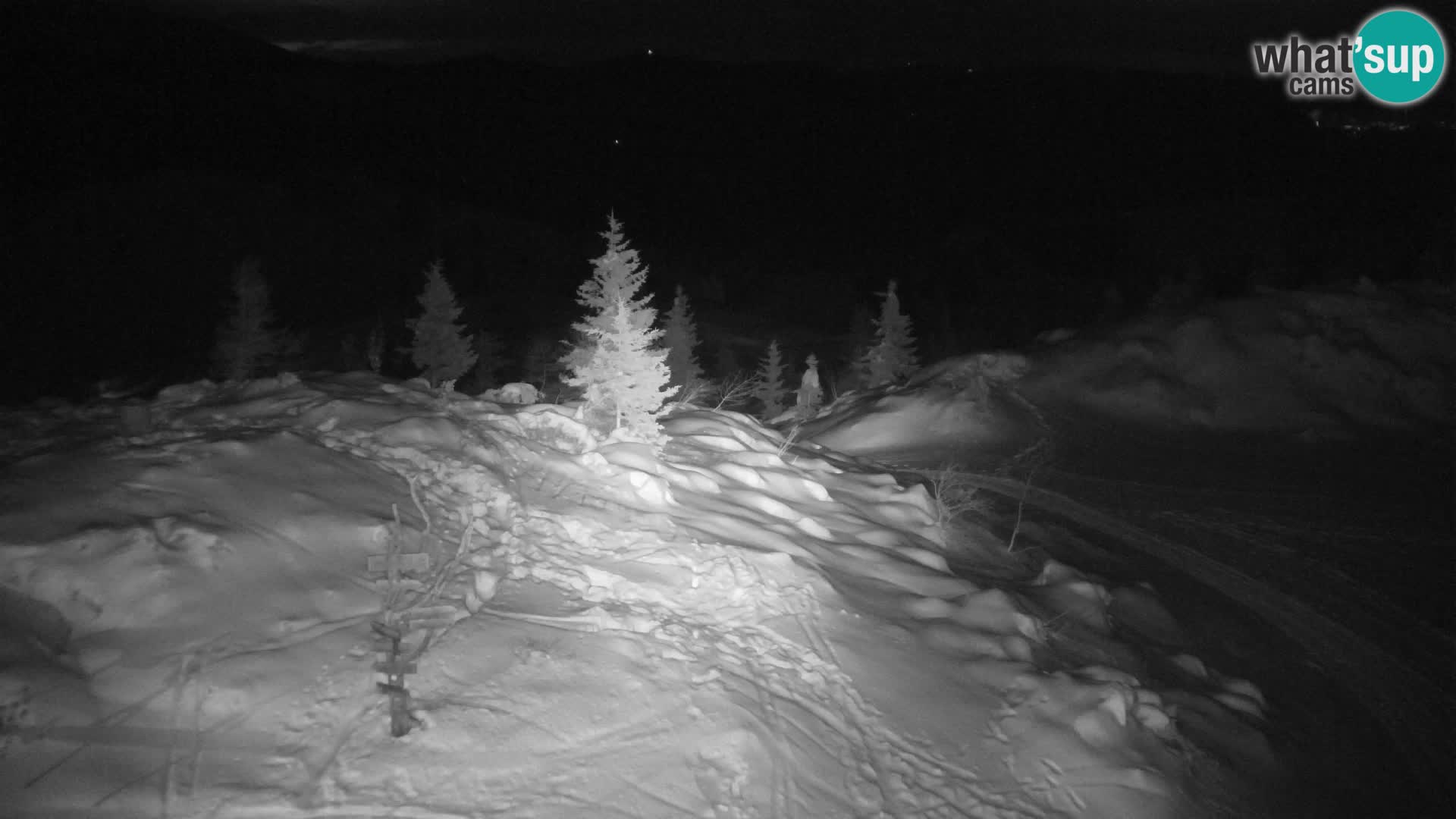 Velika Planina | Gradišče