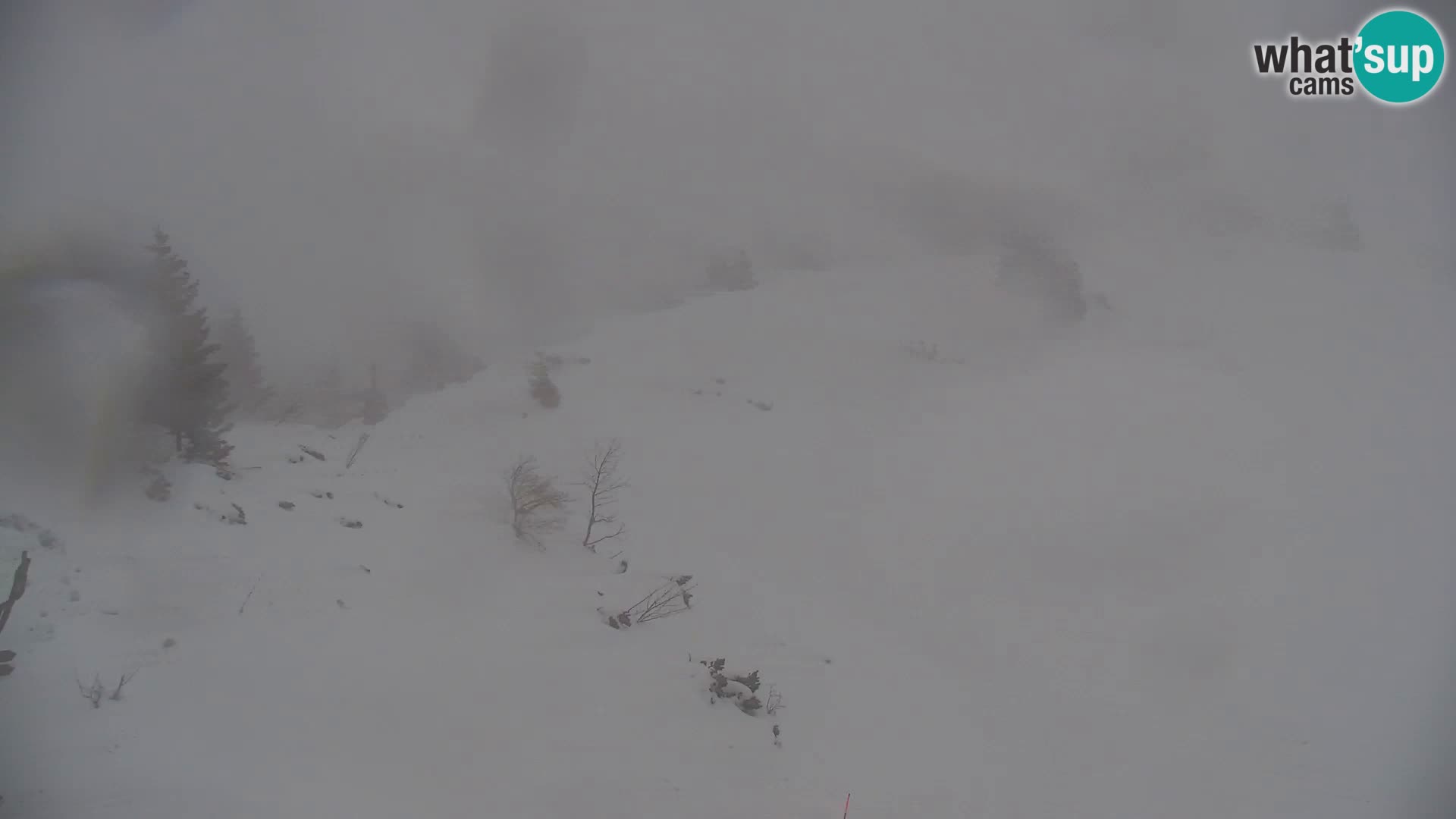 Velika Planina | Gradišče