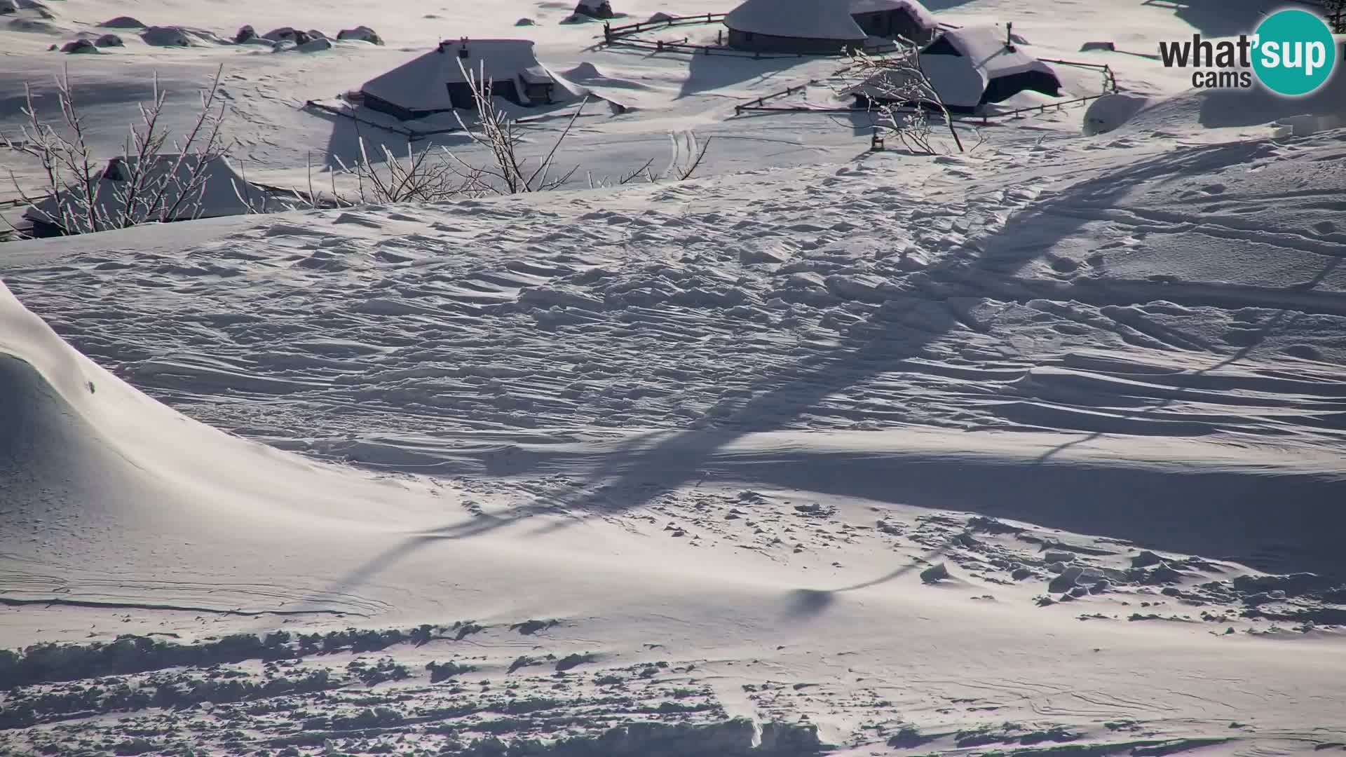 Velika Planina | Gradišče