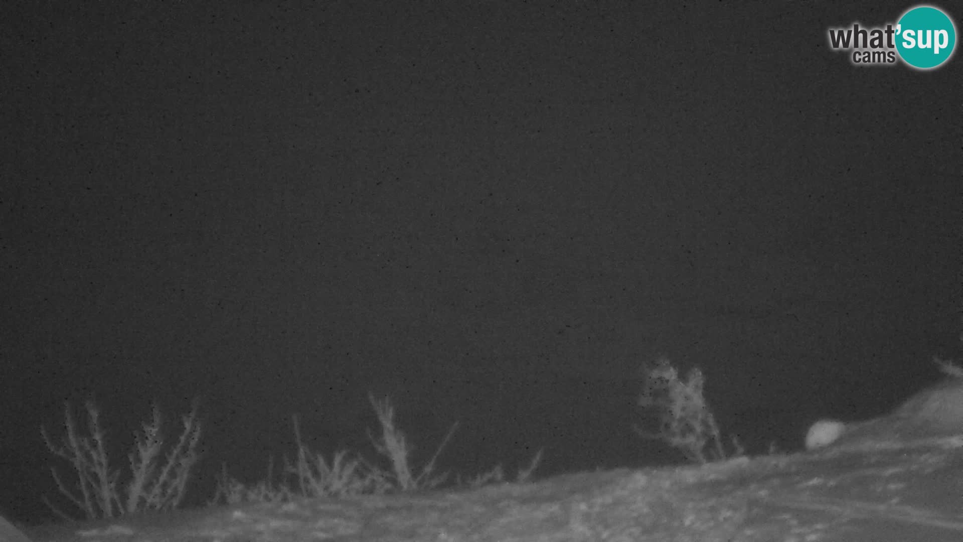 Velika Planina | Gradišče