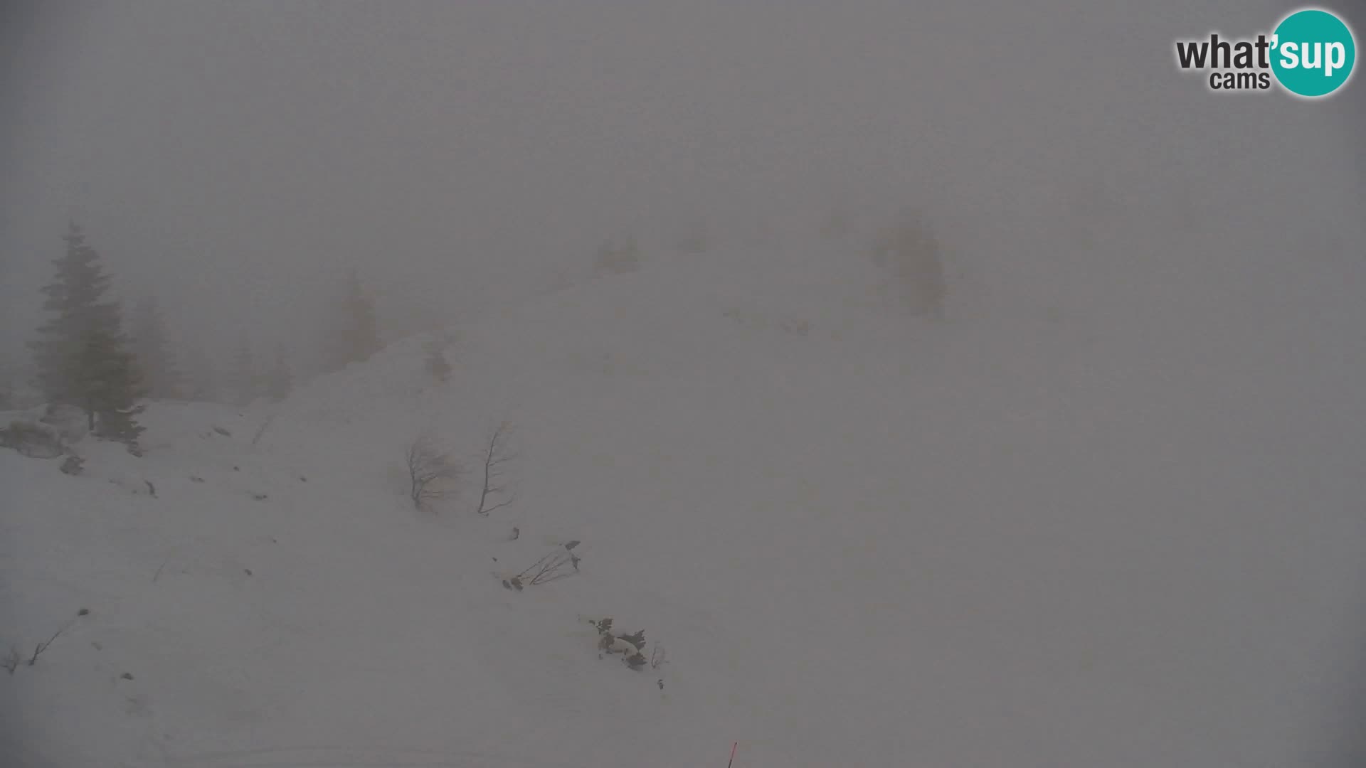 Velika Planina | Gradišče