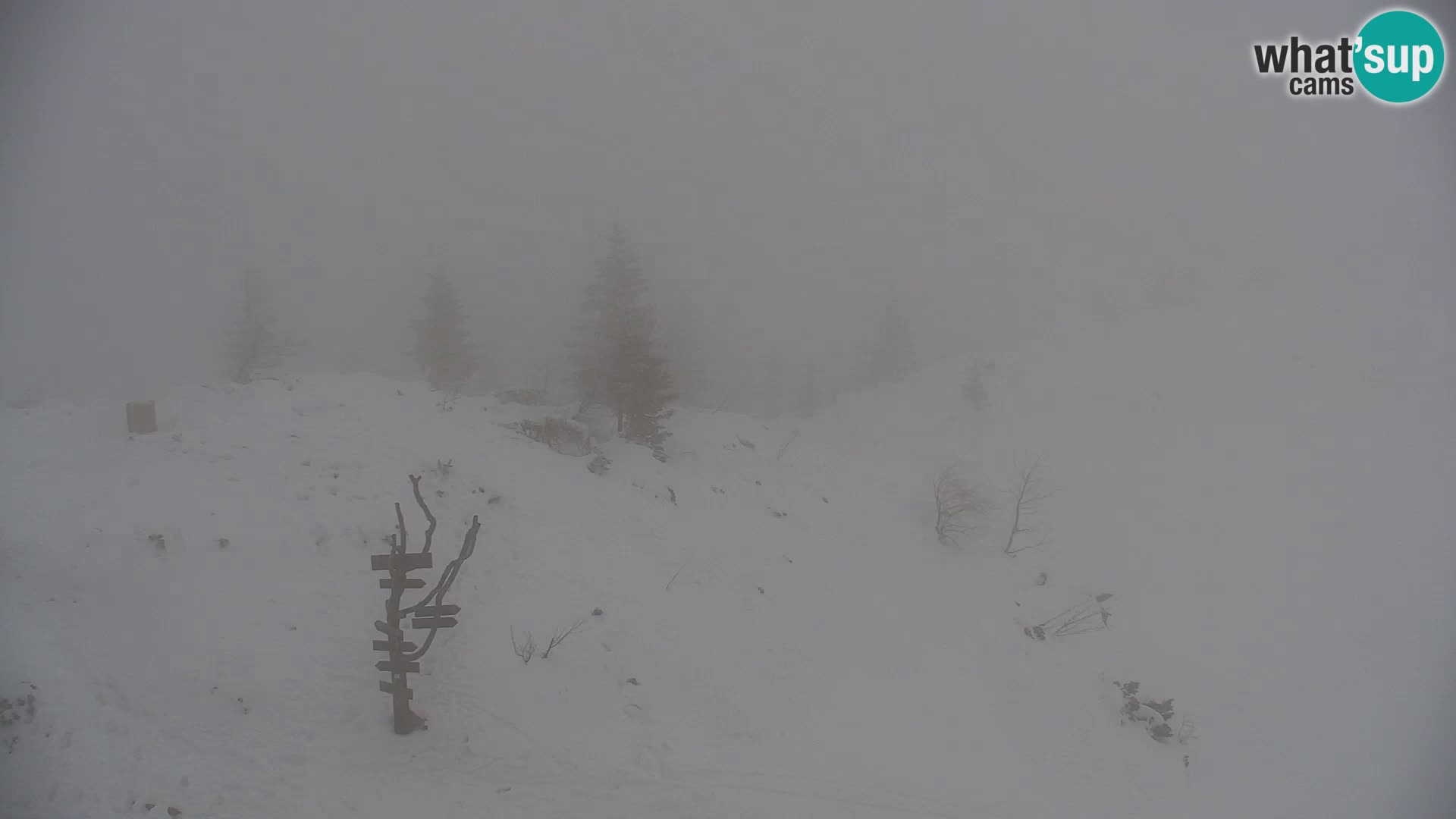 Velika Planina | Gradišče