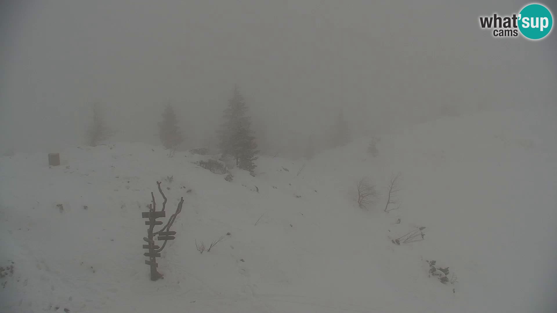 Velika Planina | Gradišče