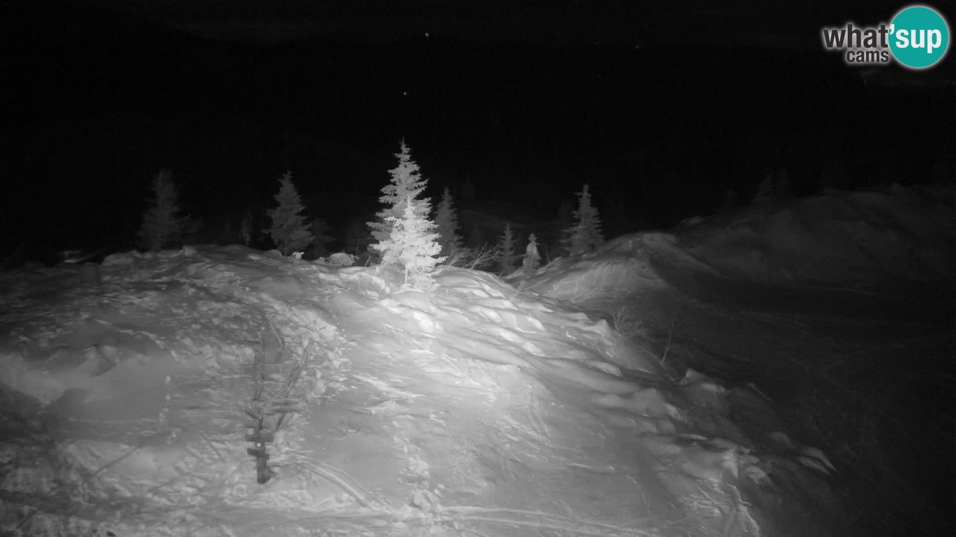 Velika Planina | Gradišče