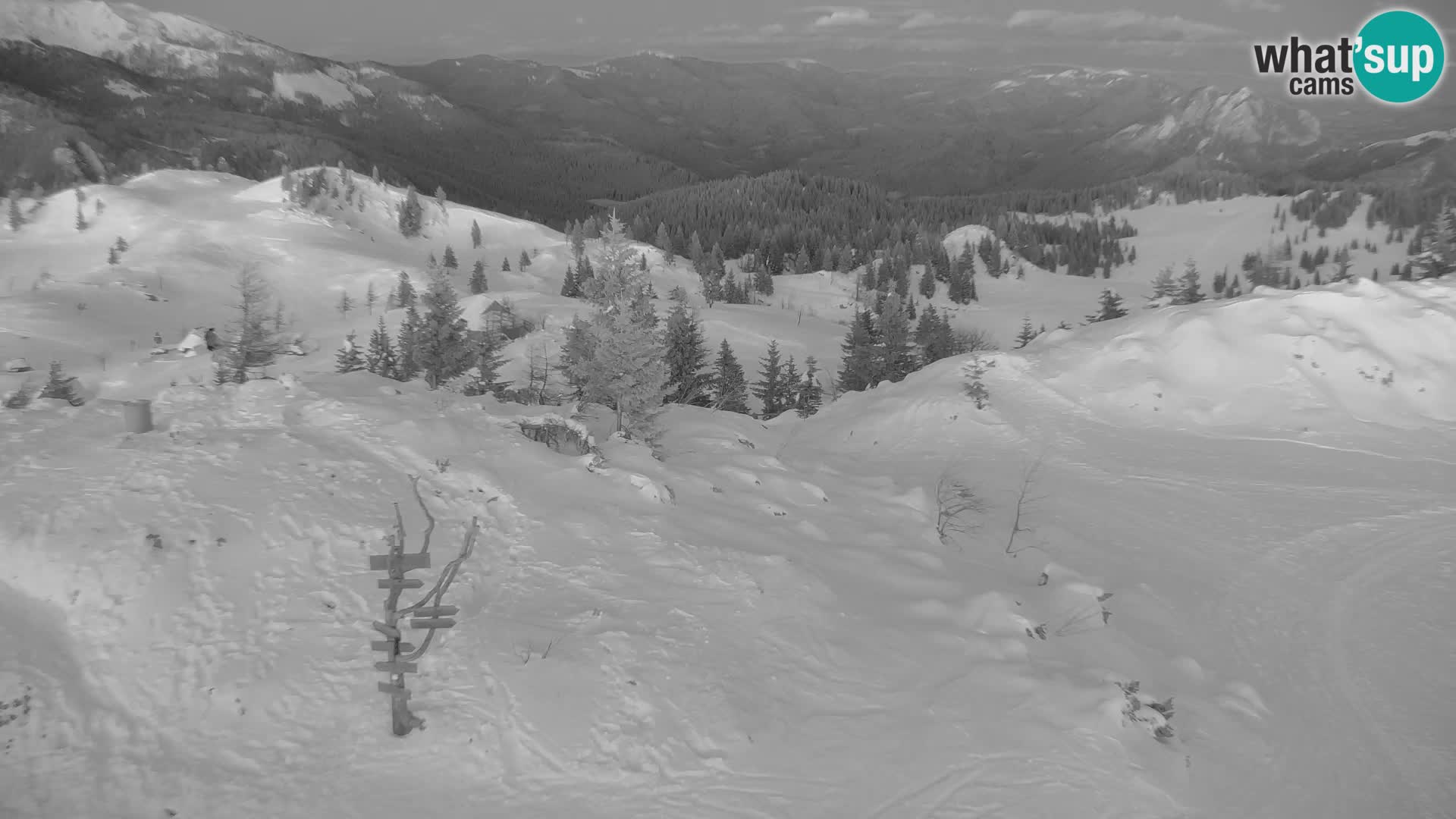 Velika Planina | Gradišče