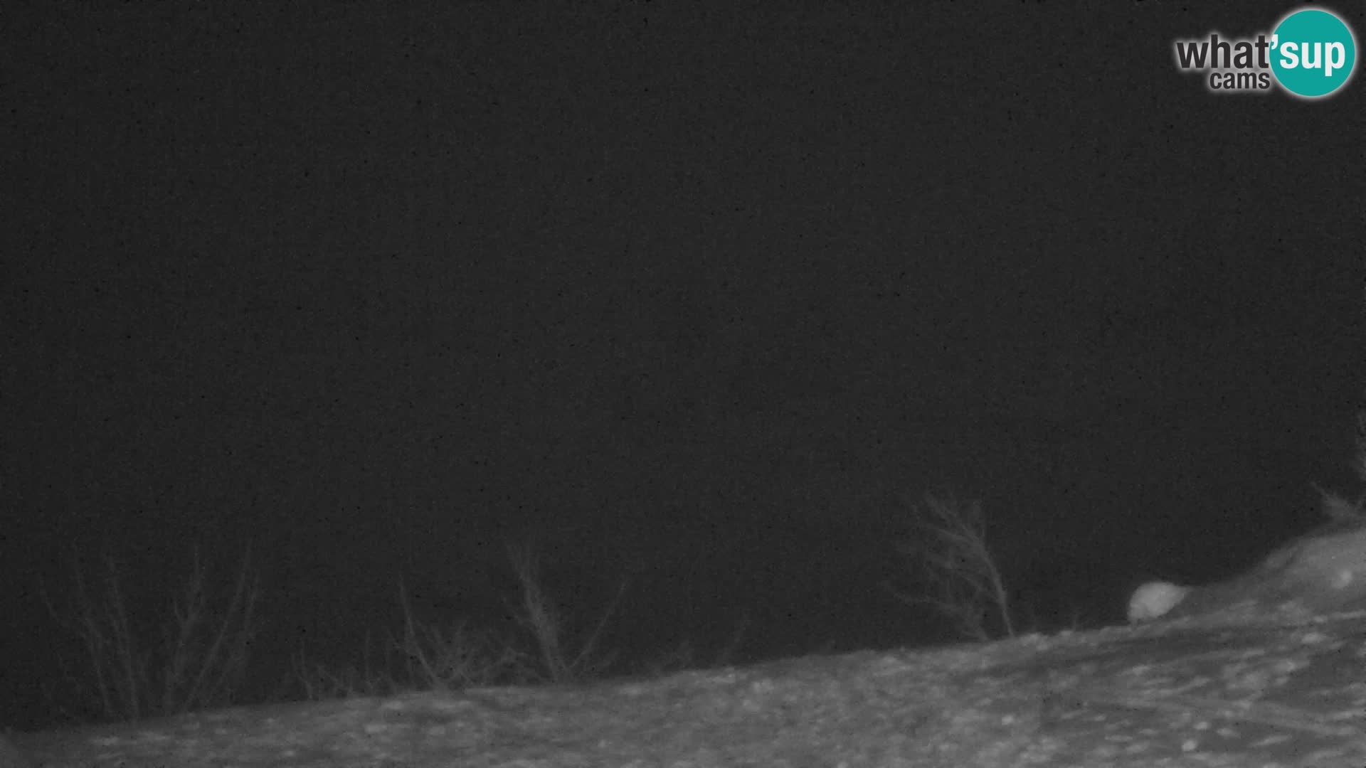 Velika Planina | Gradišče