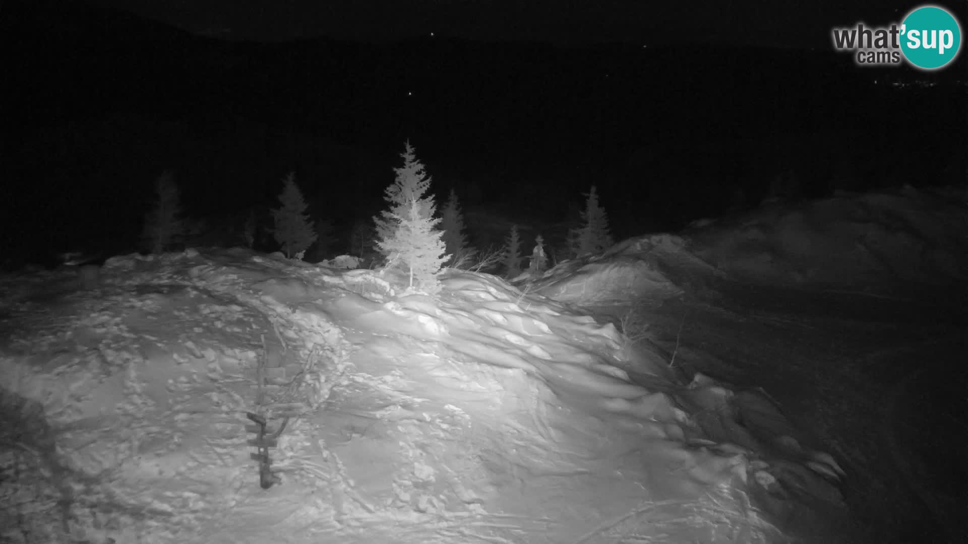 Velika Planina | Gradišče