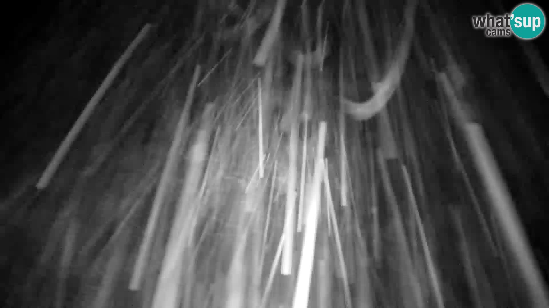 Velika Planina | Gradišče