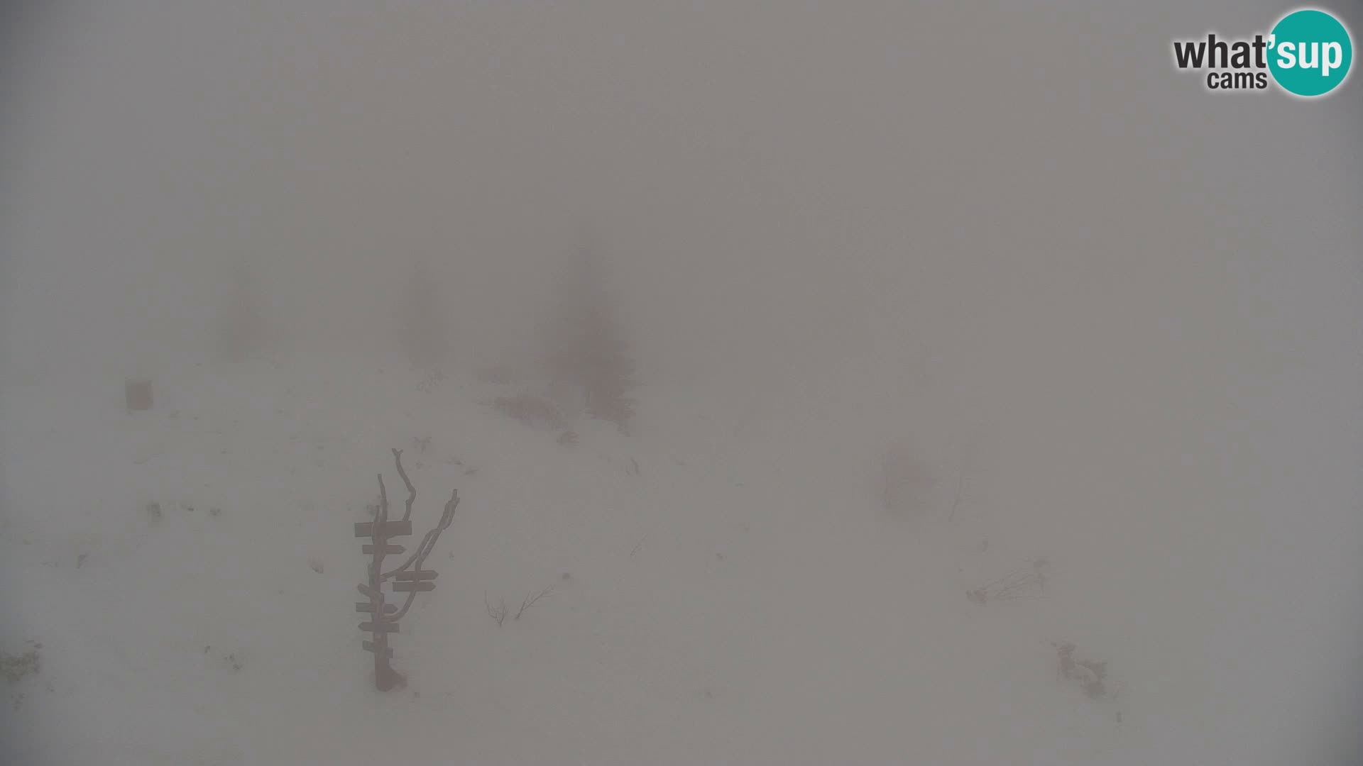 Velika Planina | Gradišče