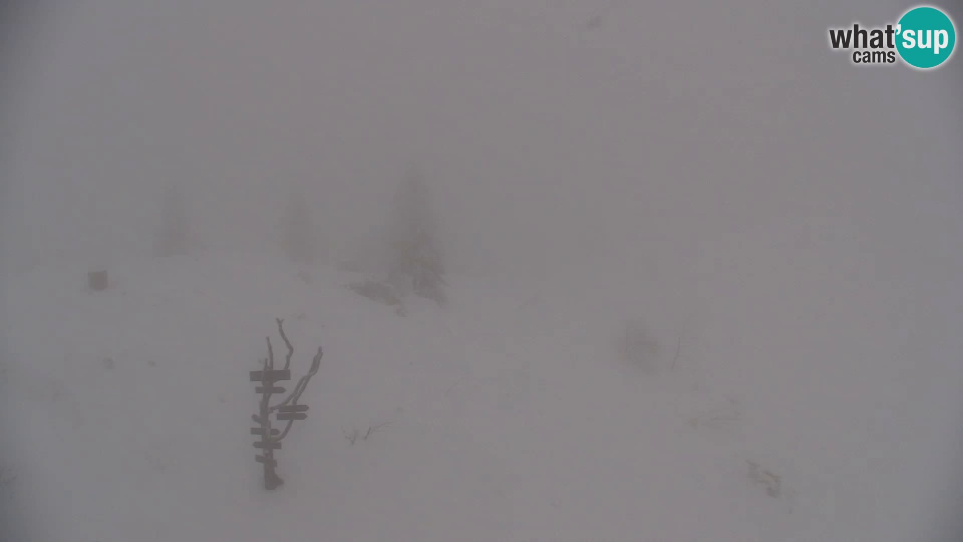 Velika Planina | Gradišče