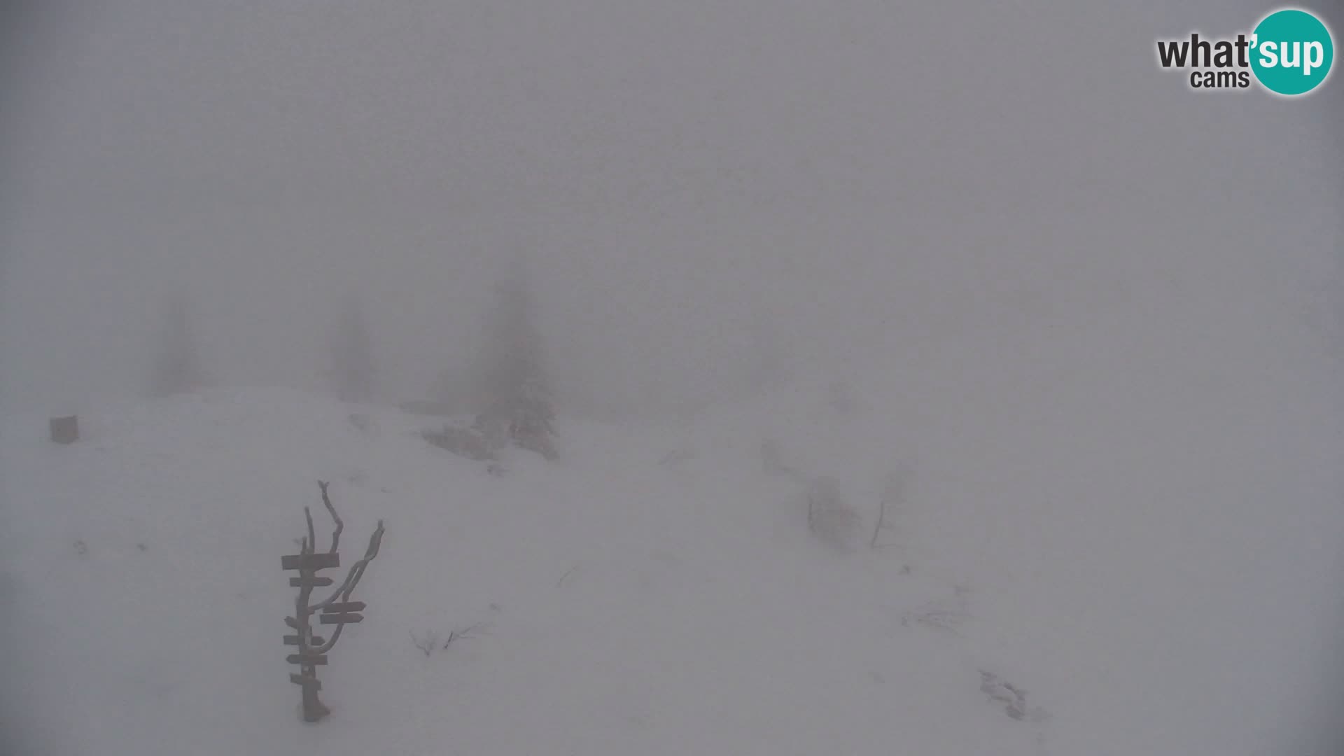 Velika Planina | Gradišče